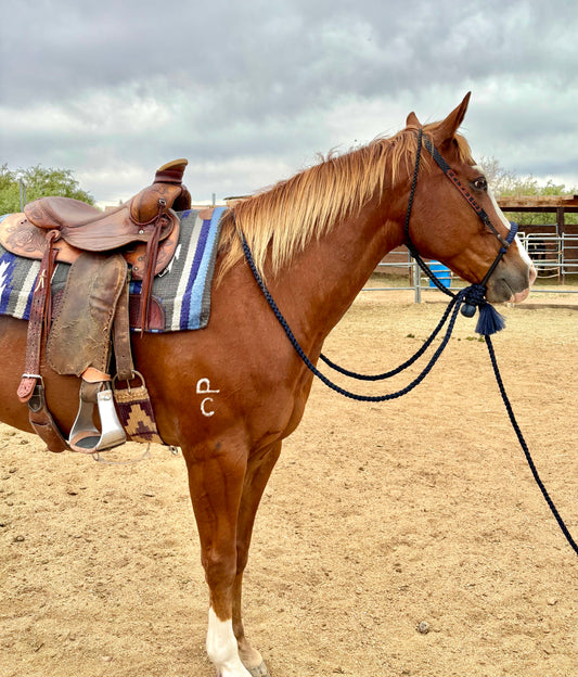 Lariat Hackamore and Mecate Full Setup: Fits most Horses - Color Navy Blue - Doc Holliday Tribute