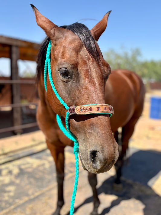 Personalized Mule Tape Halters with 8ft Lead Line - Assorted colors