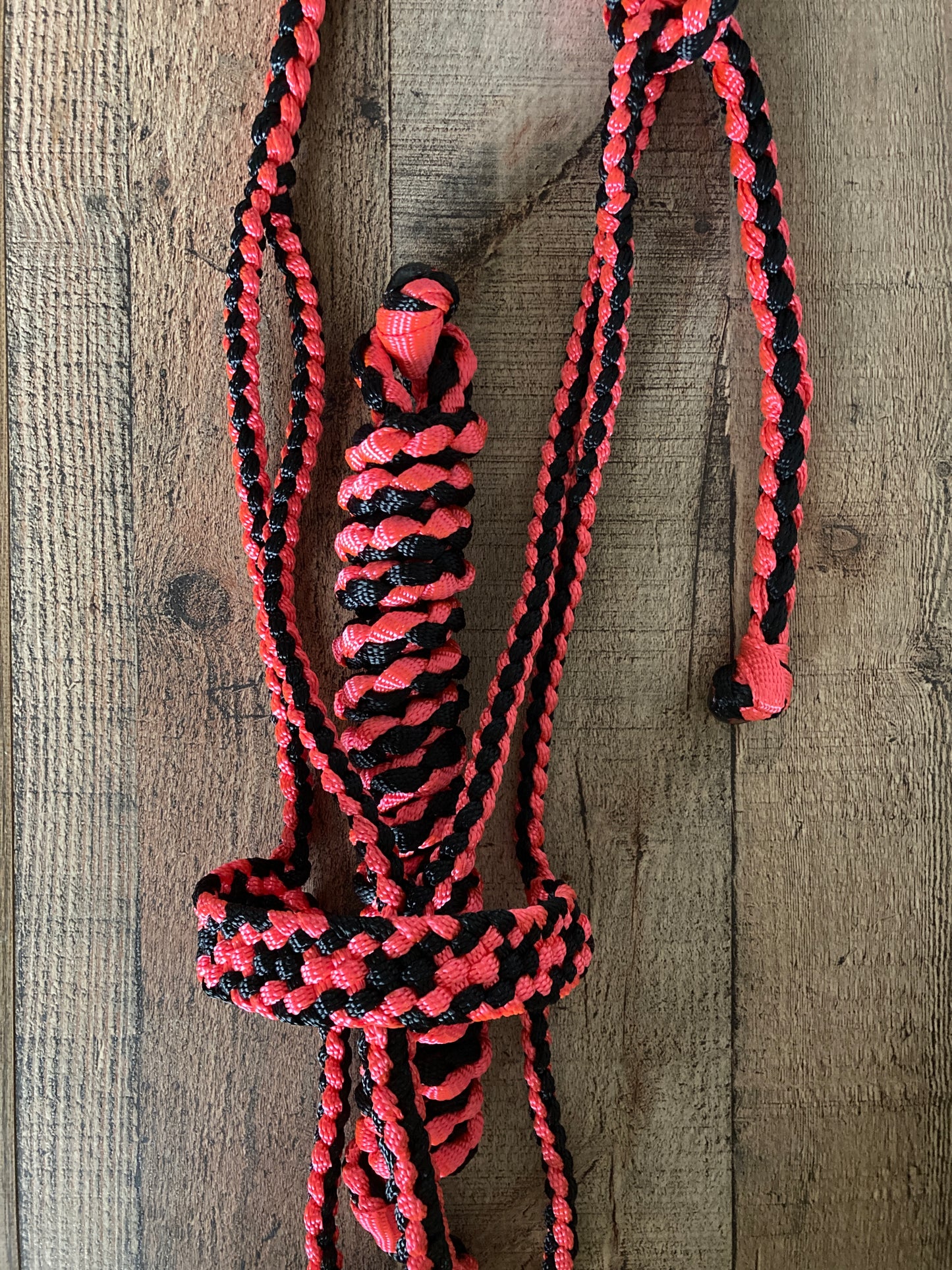 Mule Tape Halters with 8ft Lead - Multi color! Made to Order - All sizes