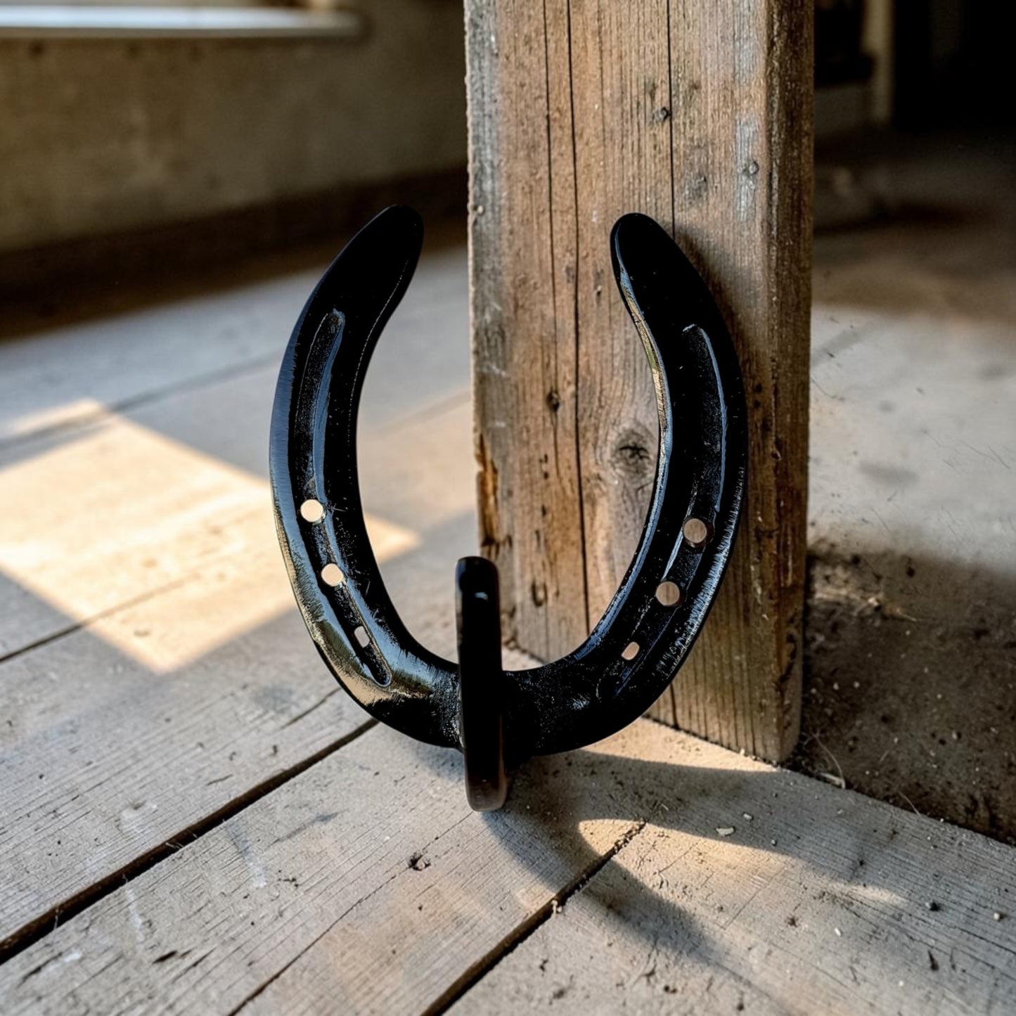 Horseshoe Hooks