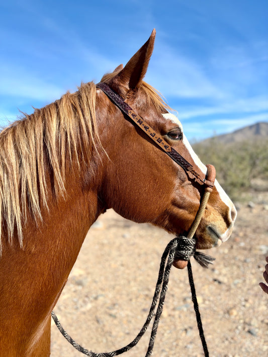 Personalized Hackamore/Bosal Hangers (Hanger only and patterns vary)
