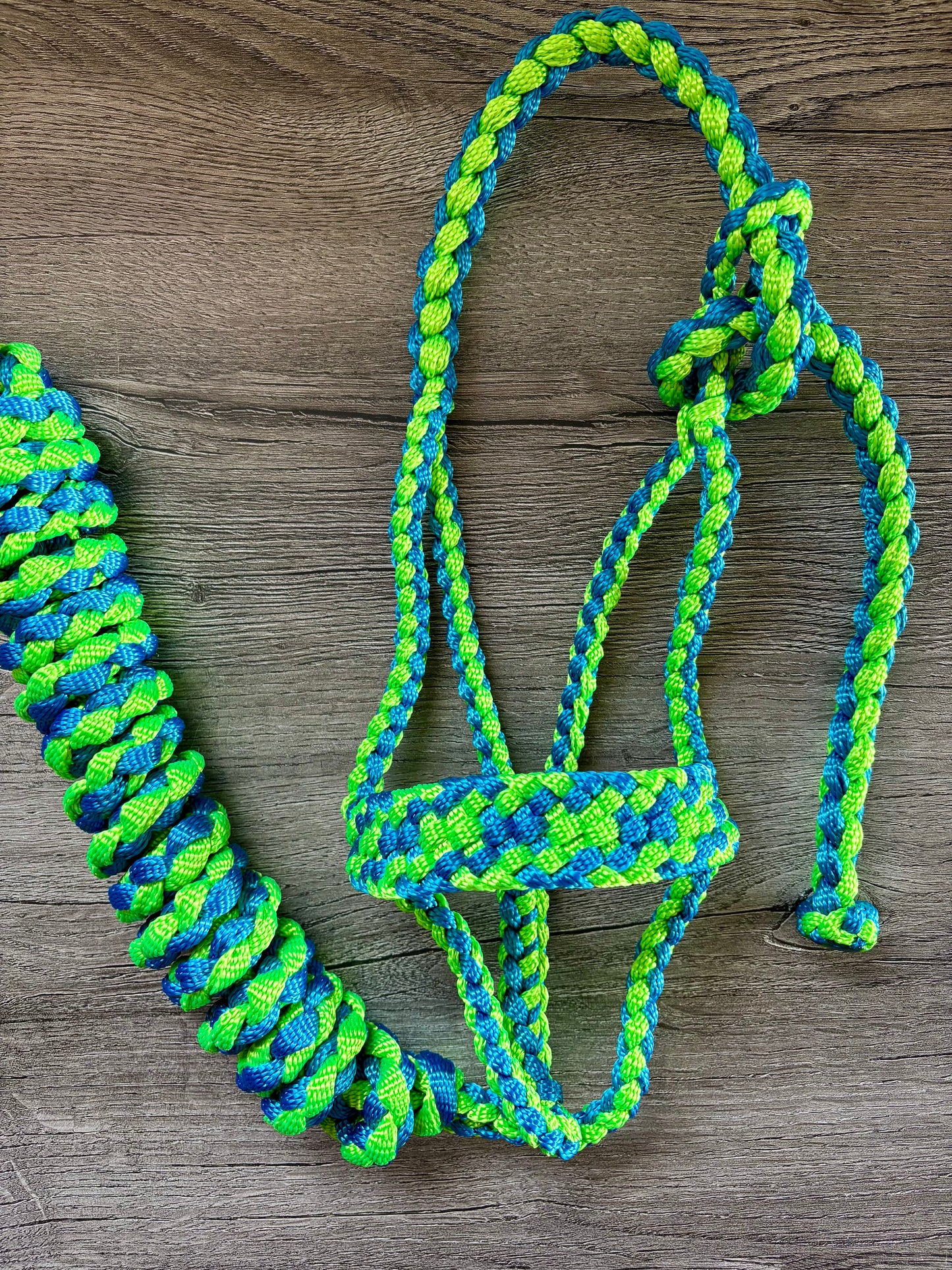 Mini/Foal 2-tone Mule Tape Halters with Lead Line - Made to Order