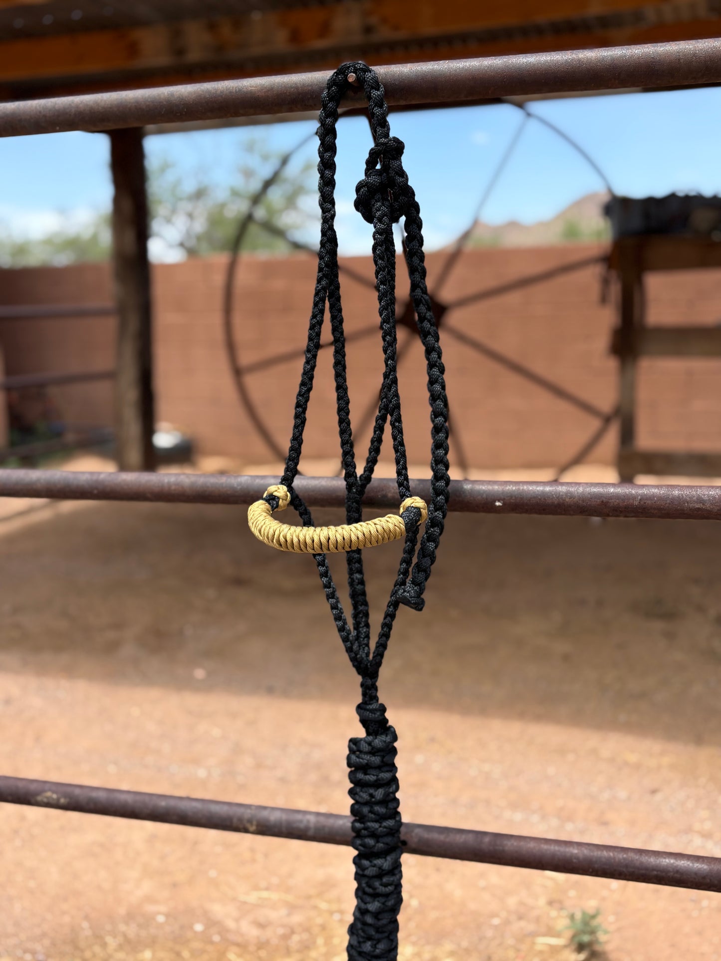 Hackamore Style Training Mule Tape Halters with matching 8ft Lead Line