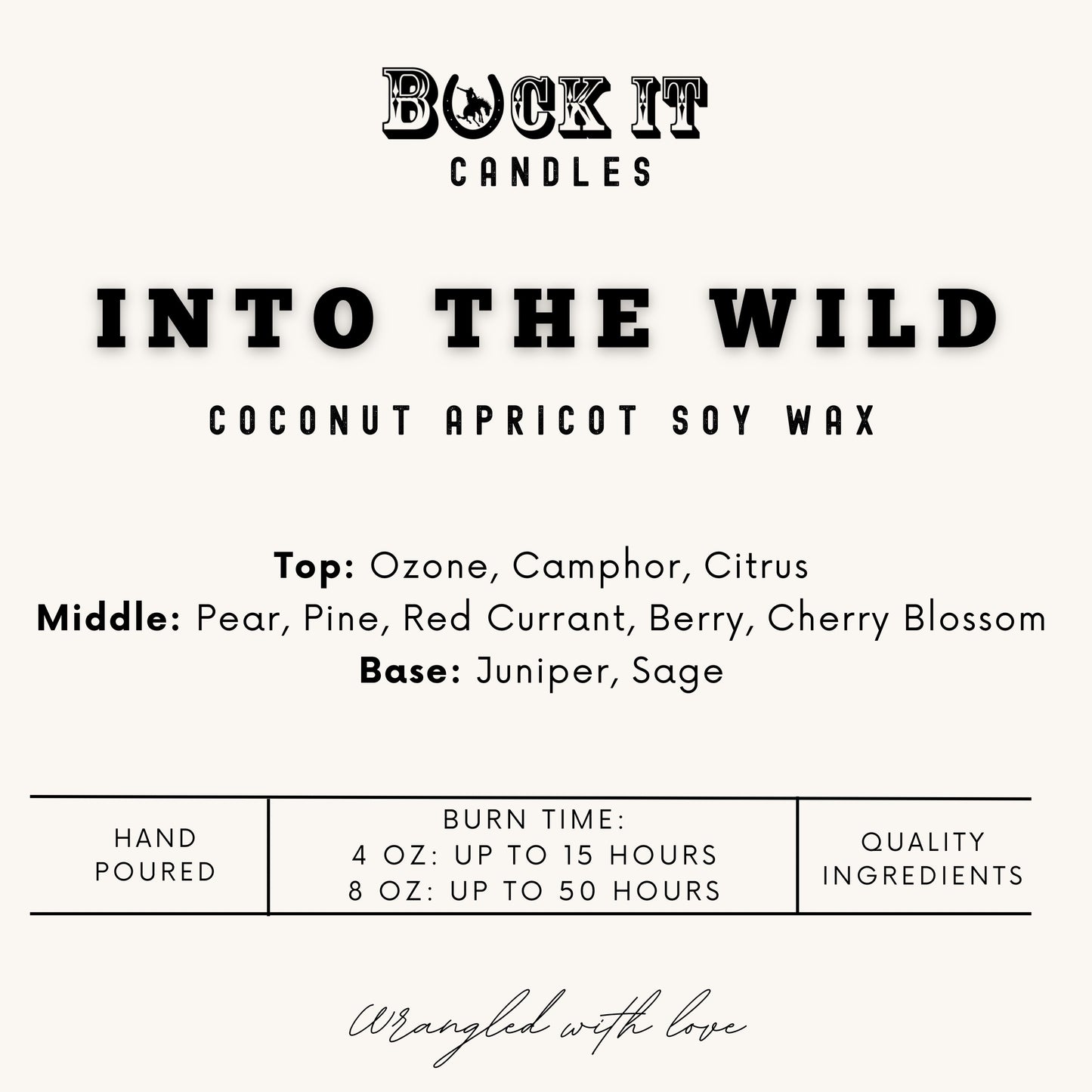 Into The Wild (Frosted Juniper Scent): Western/Rustic Candles, Hand-Poured in Arizona, Coconut Apricot Soy Wax