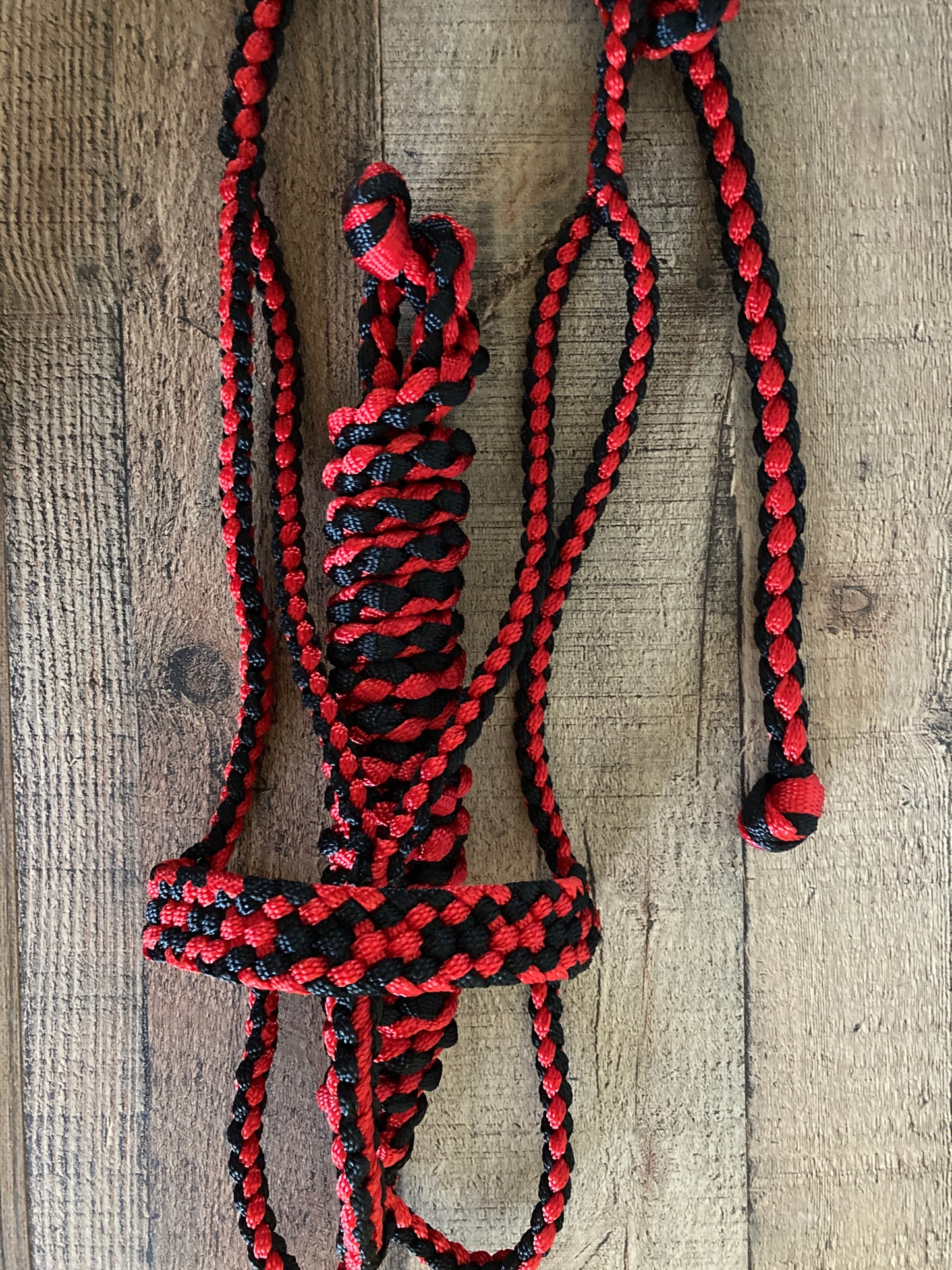 Mule Tape Halters with 8ft Lead - Multi color! Made to Order - All sizes