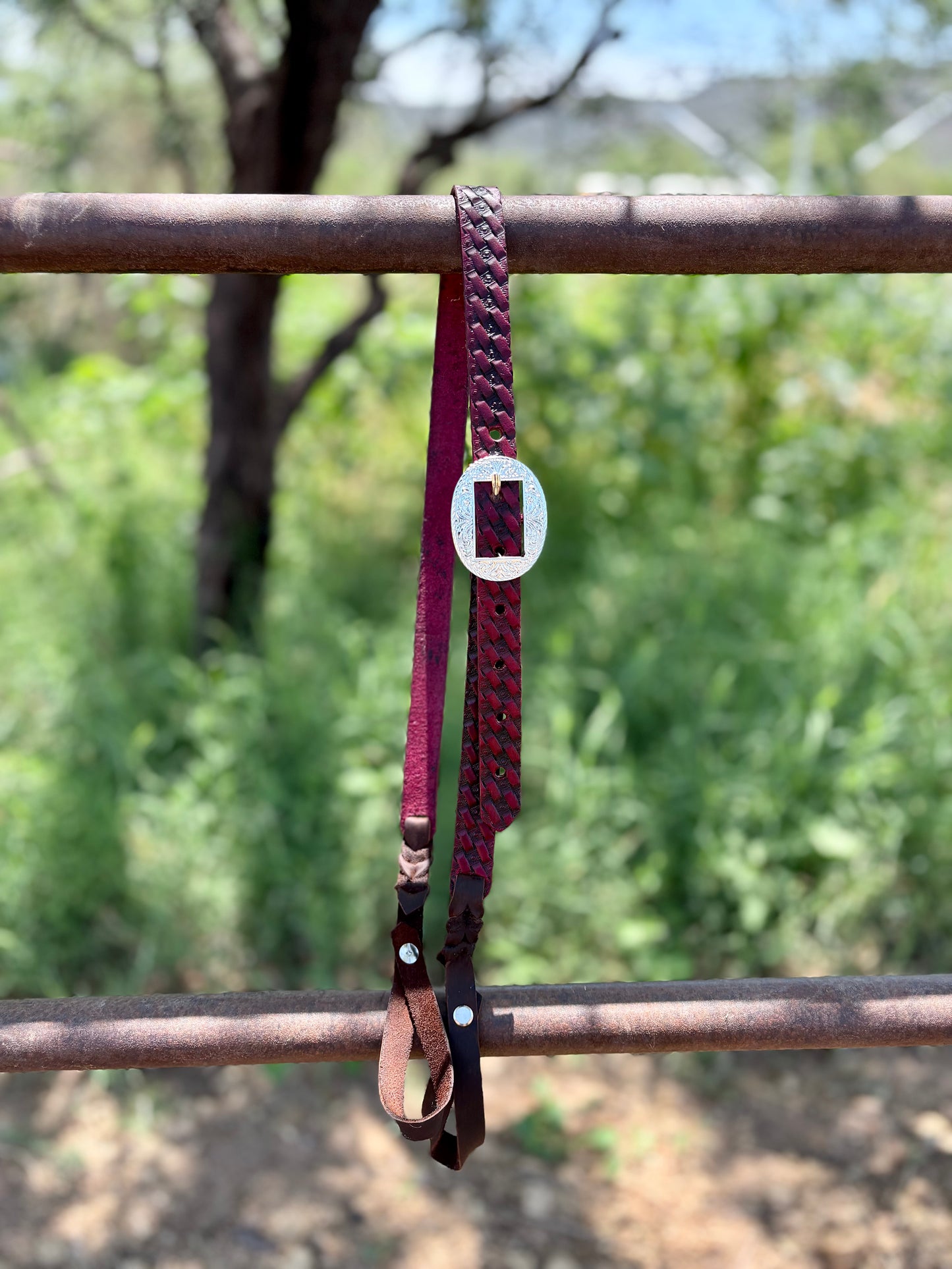 Personalized Hackamore and Mecate Set - Burgundy Color (Full Setup)
