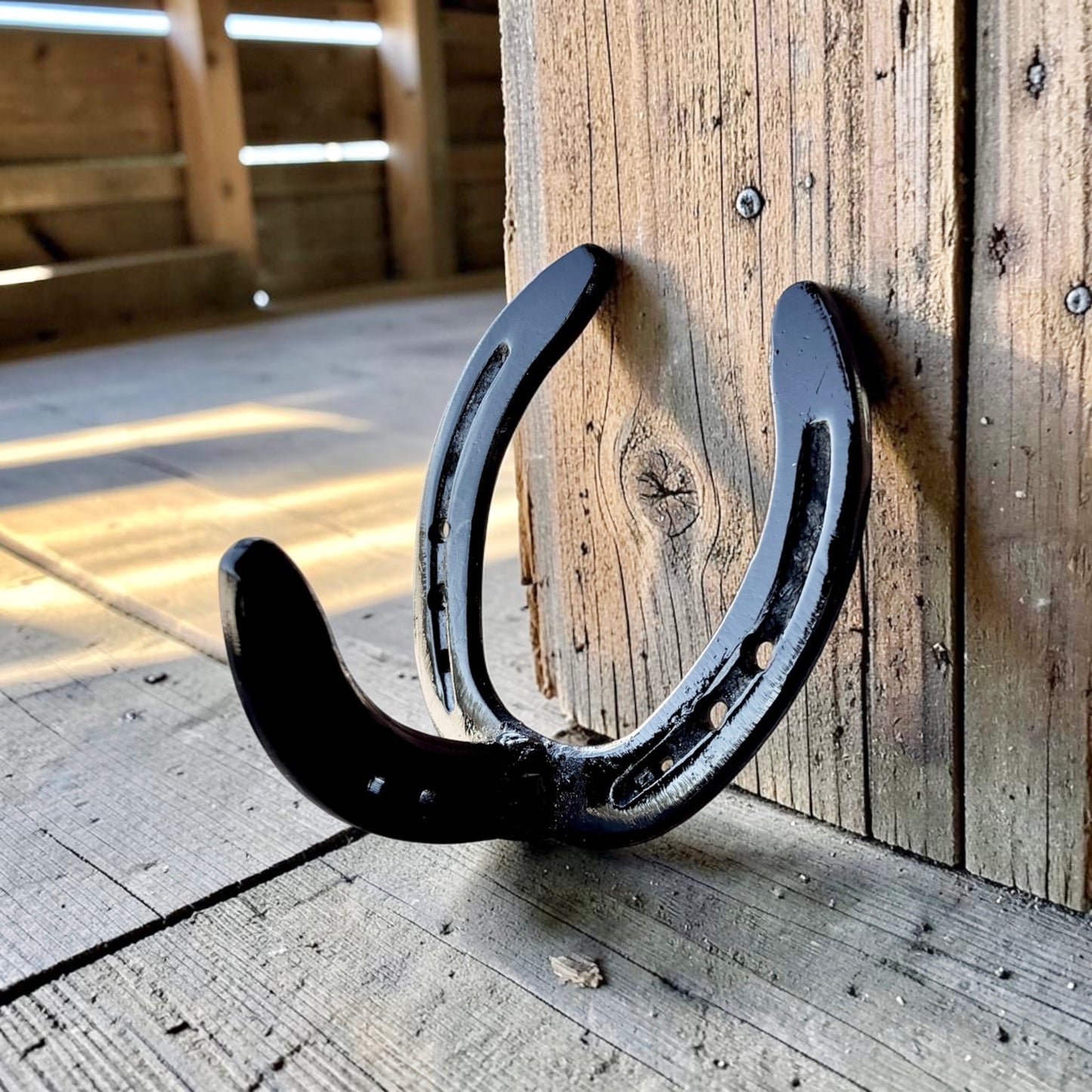 Horseshoe Hooks