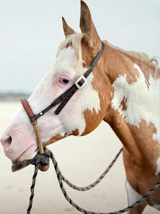 Hackamore/Bosal Hanger - Tribal Design - Hermann Oak Leather