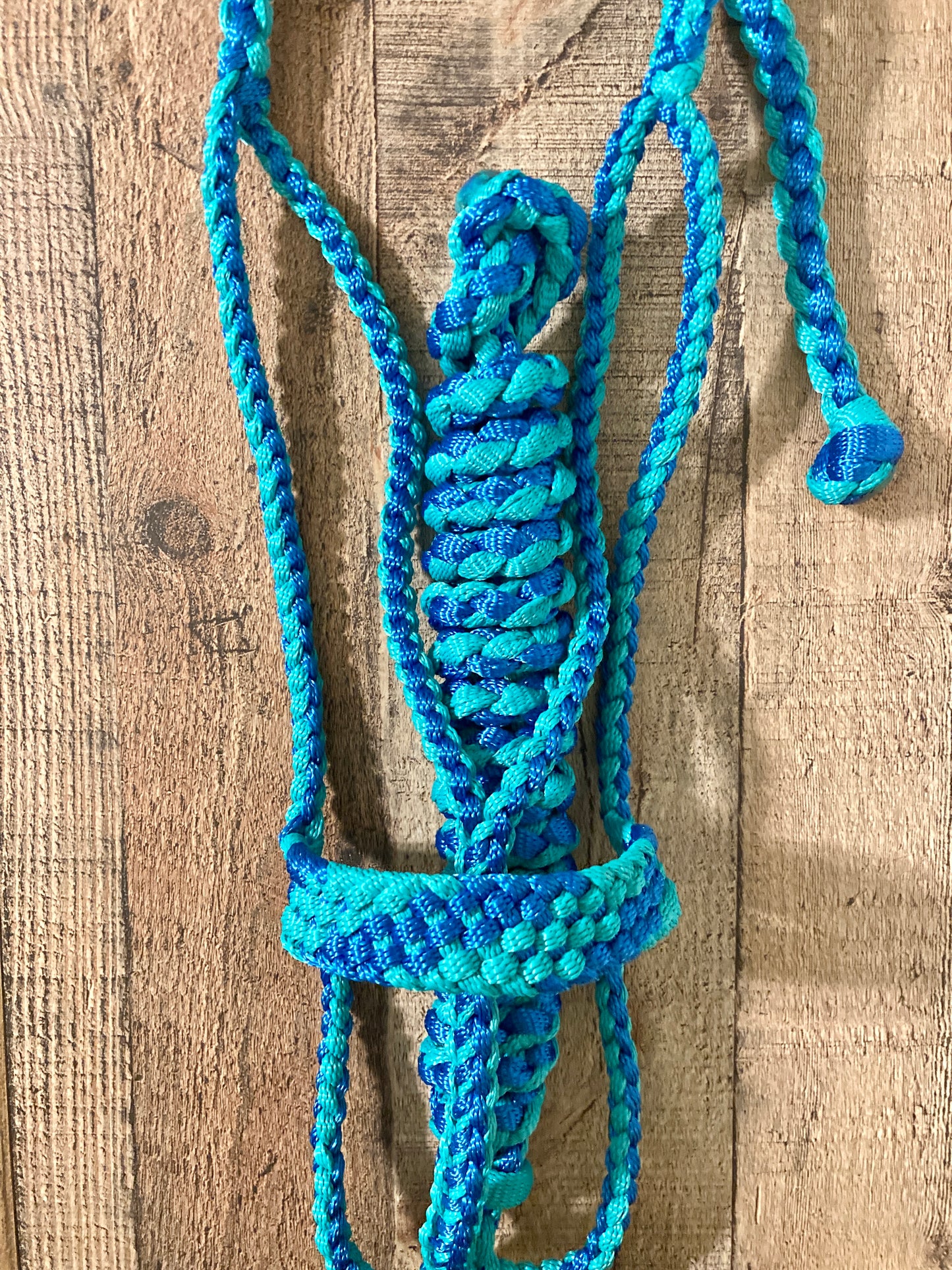 Mule Tape Halters with 8ft Lead - Multi color! Made to Order - All sizes