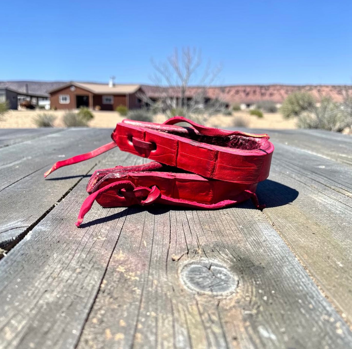 Exotic Water Loop Straps Rein Replacements - Caiman Alligator