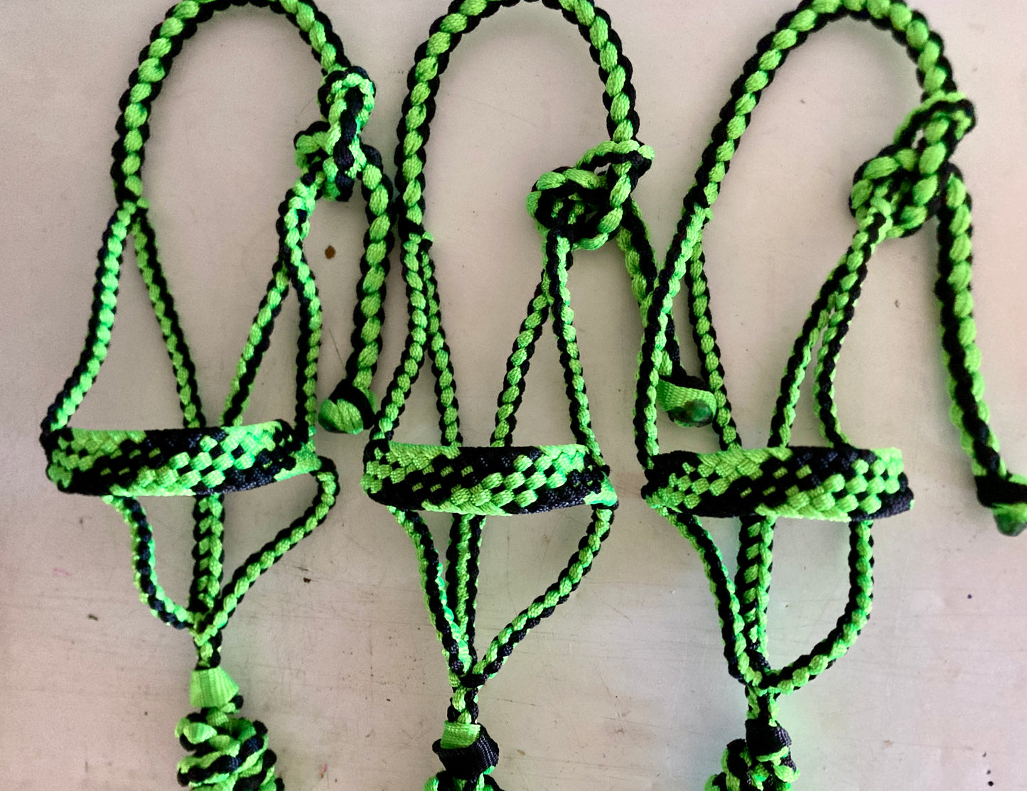 Mini/Foal 2-tone Mule Tape Halters with Lead Line - Made to Order