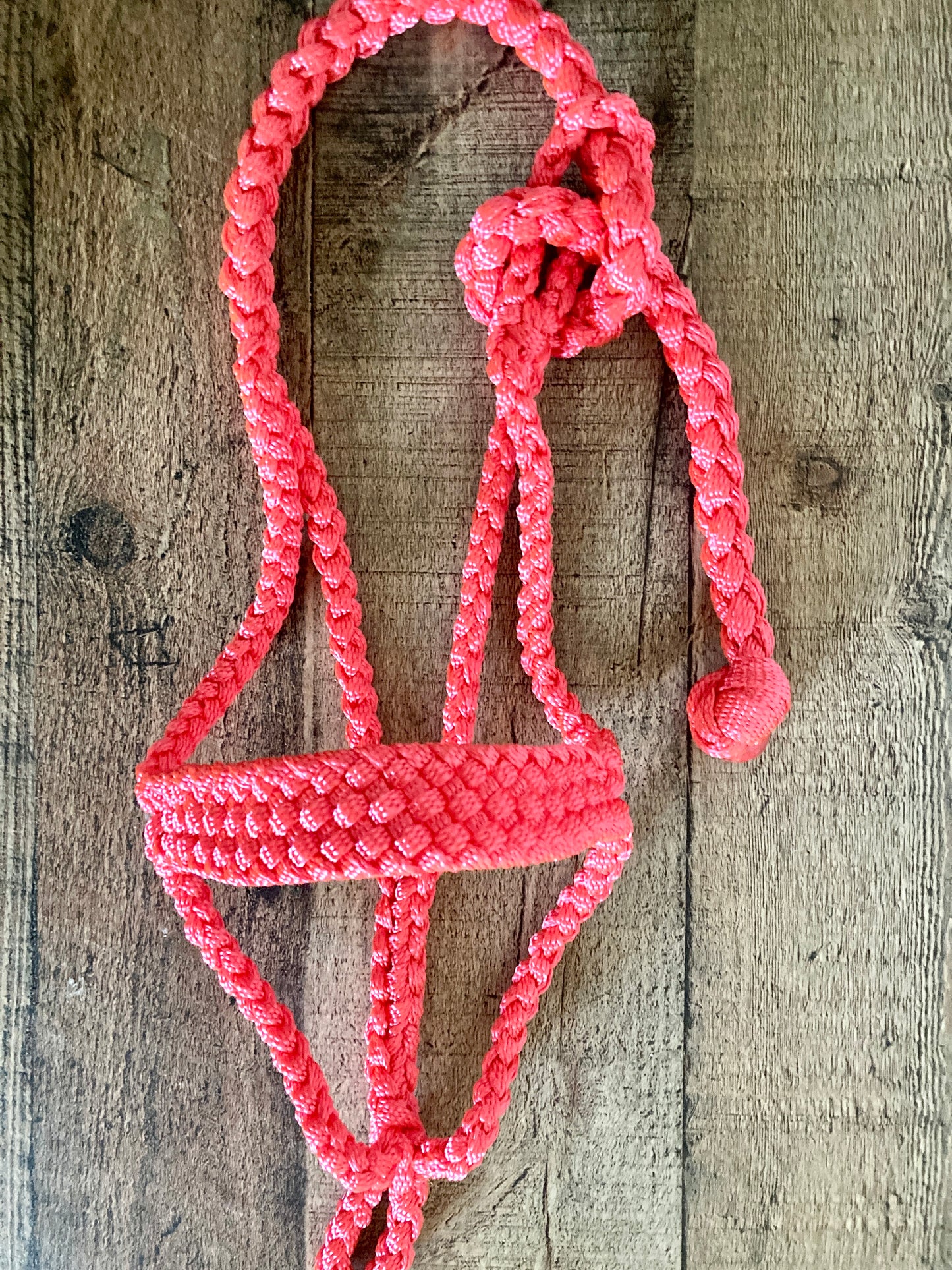 Mini/ Foal Mule Tape Halters w/ Lead - Assorted colors