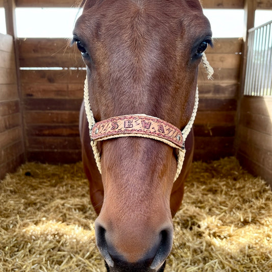 Personalized Mule Tape Halters with 8ft Lead Line - Assorted colors