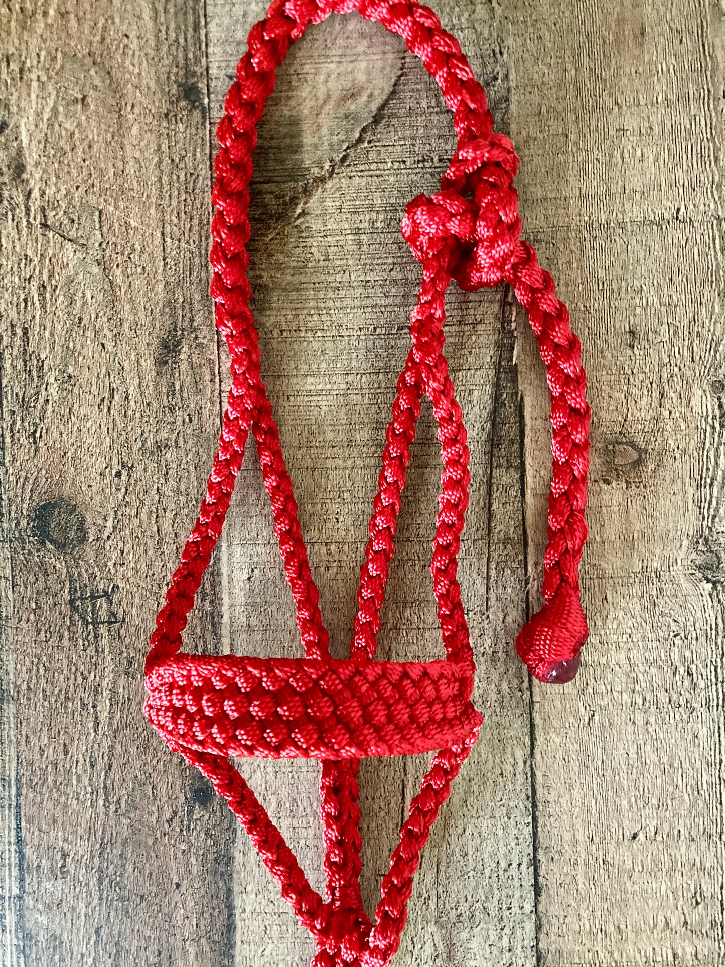 Mini/ Foal Mule Tape Halters w/ Lead - Assorted colors