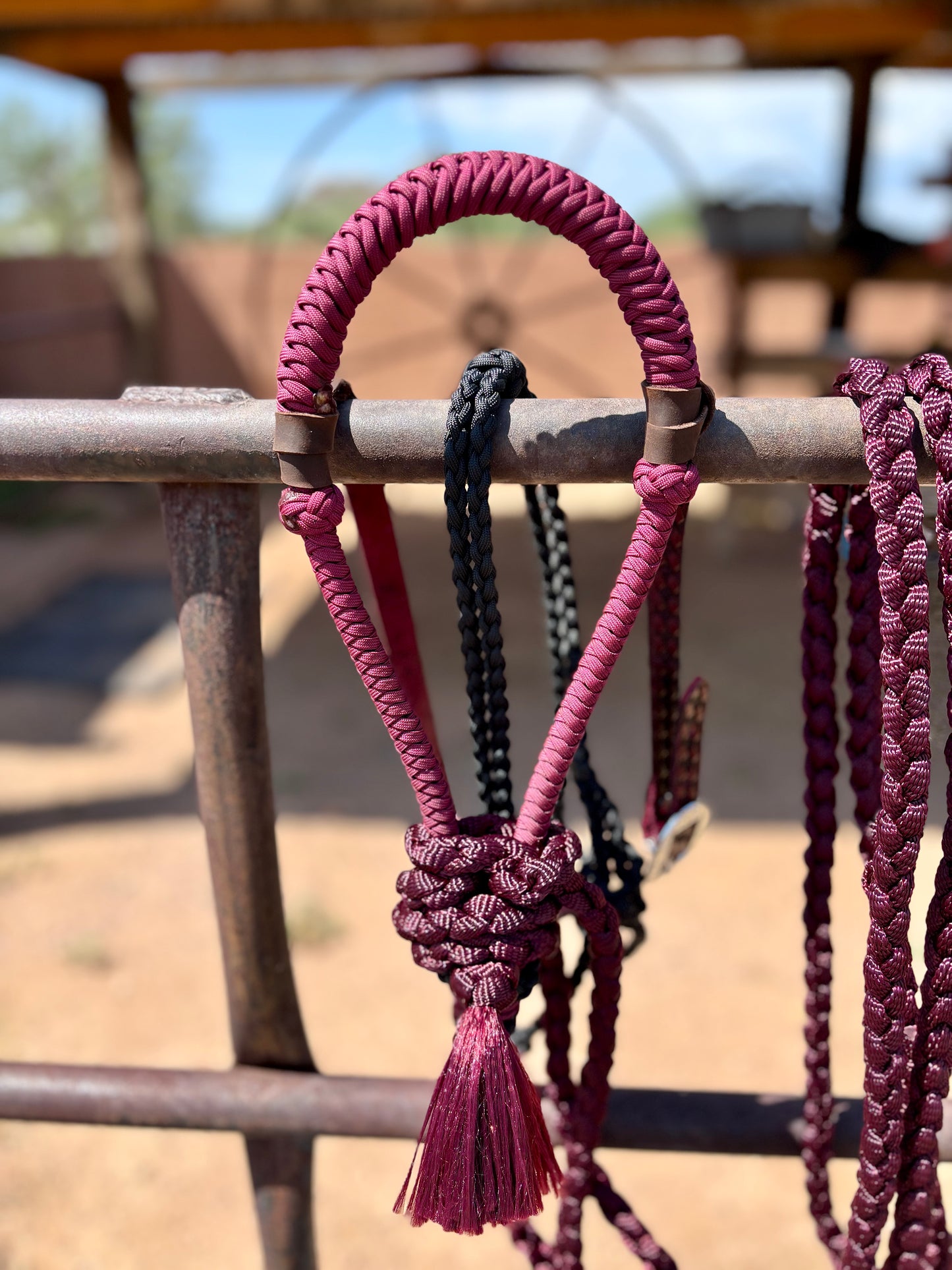 Personalized Hackamore and Mecate Set - Burgundy Color (Full Setup)