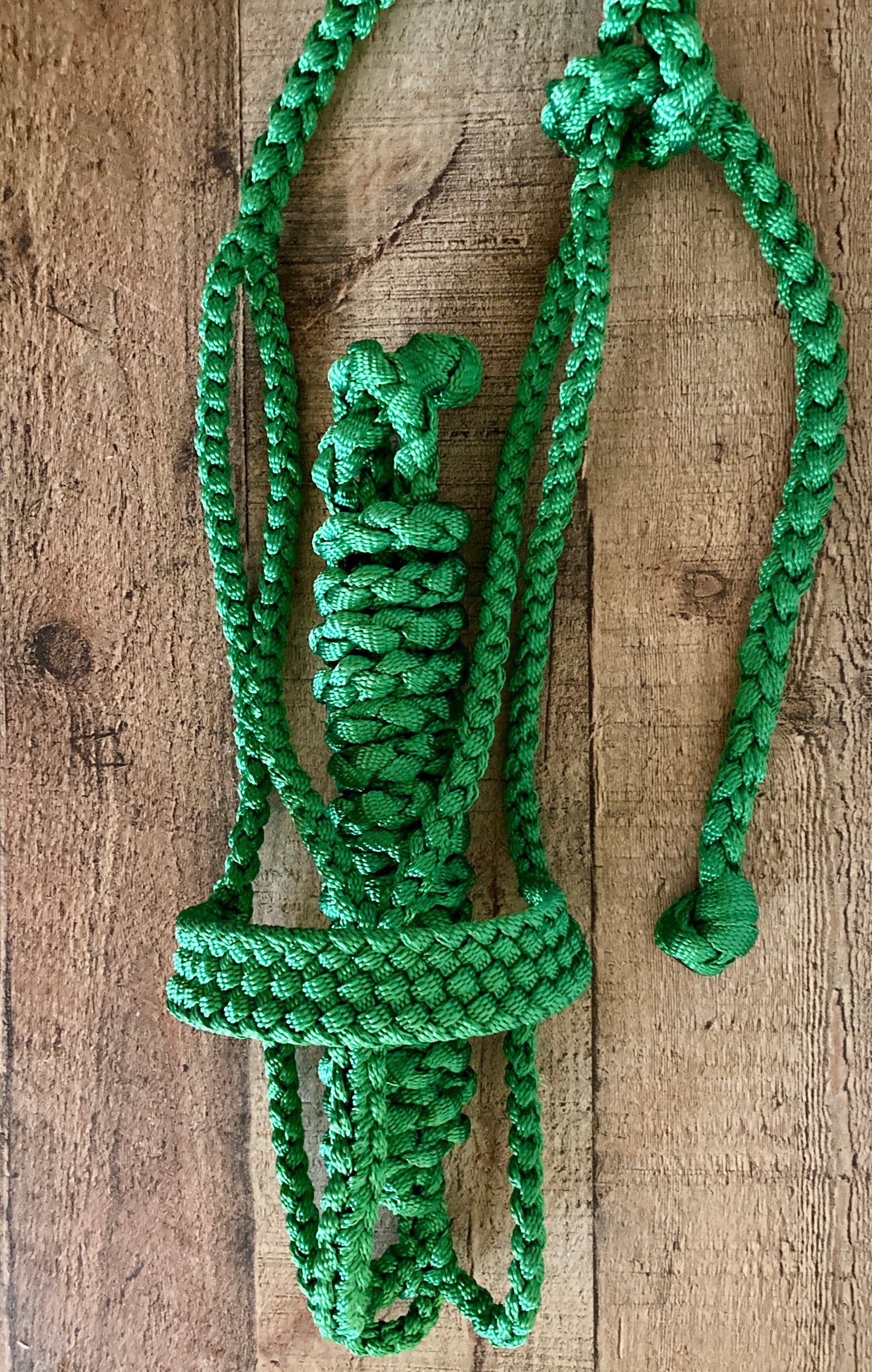 Mule Tape Halters with 8ft Lead Line - Assorted colors - All Sizes