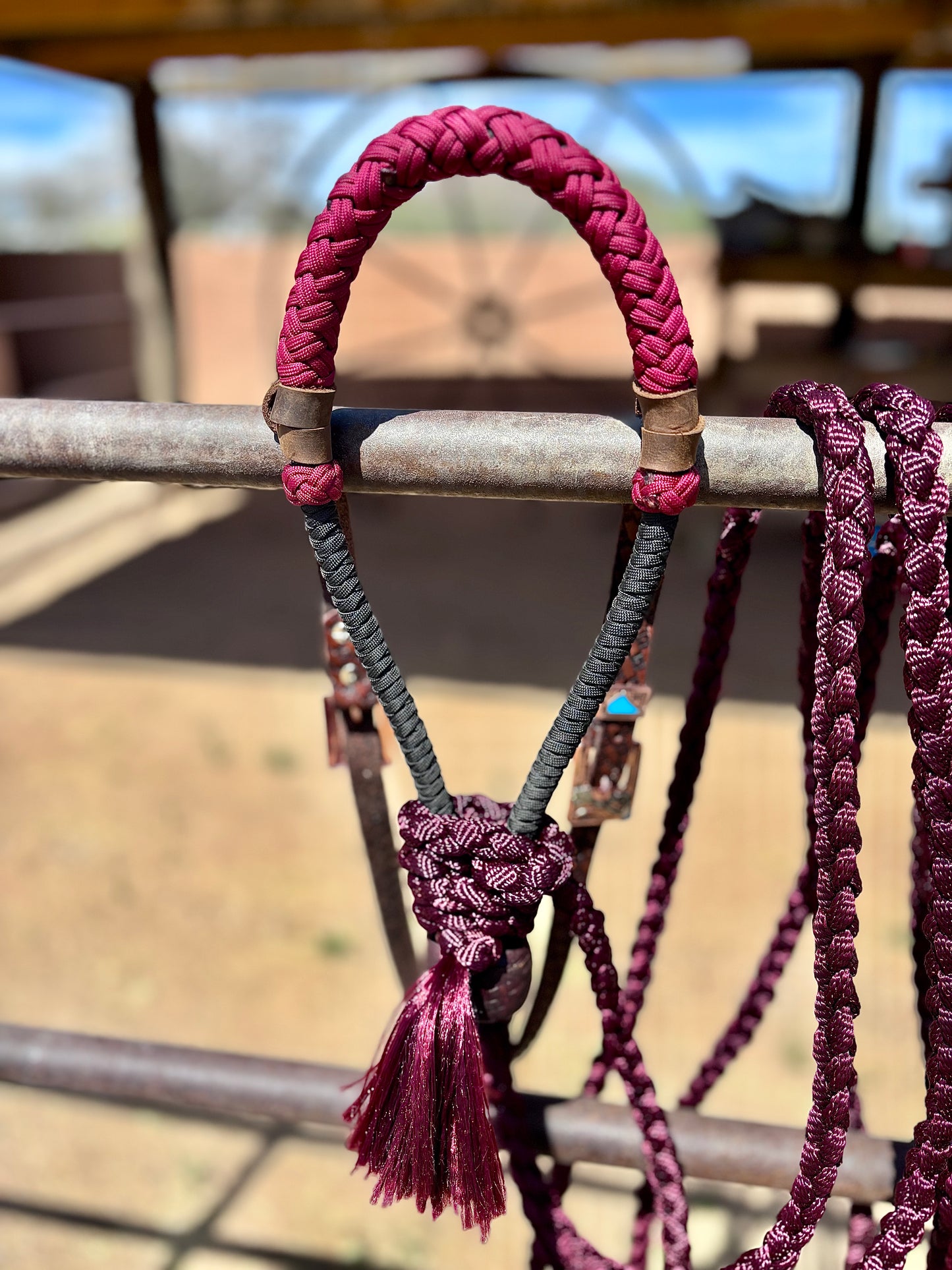 Lariat Hackamore and Mecate Full Setup: Fits most Horses - Color Burgundy