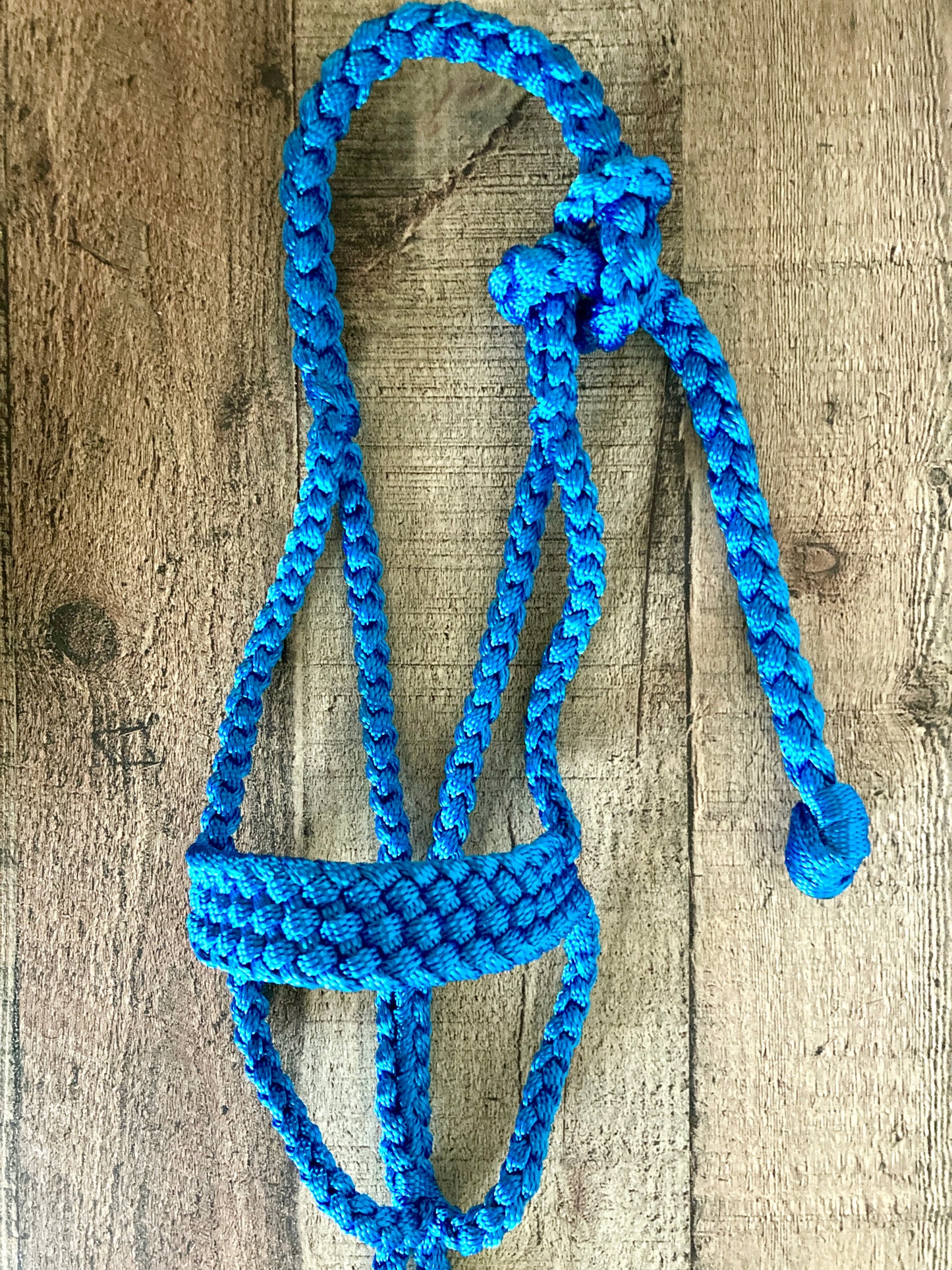 Mini/ Foal Mule Tape Halters w/ Lead - Assorted colors