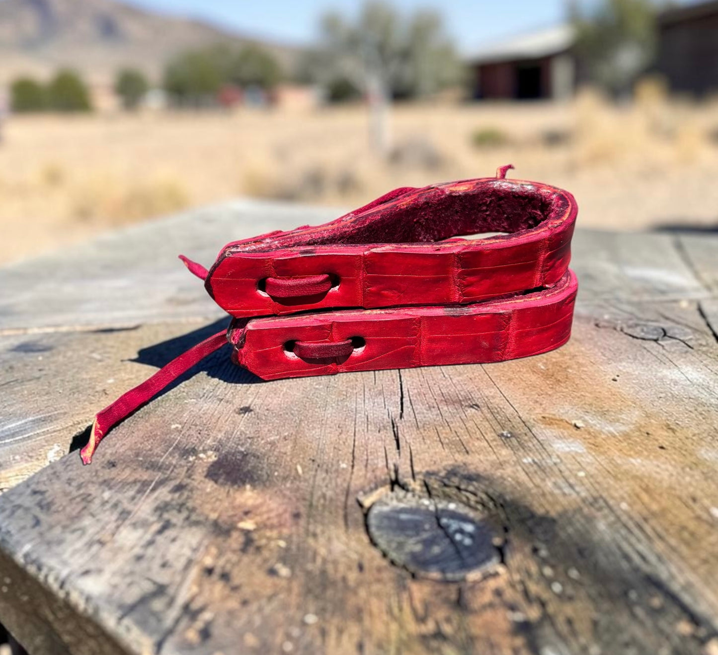 Exotic Water Loop Straps Rein Replacements - Caiman Alligator