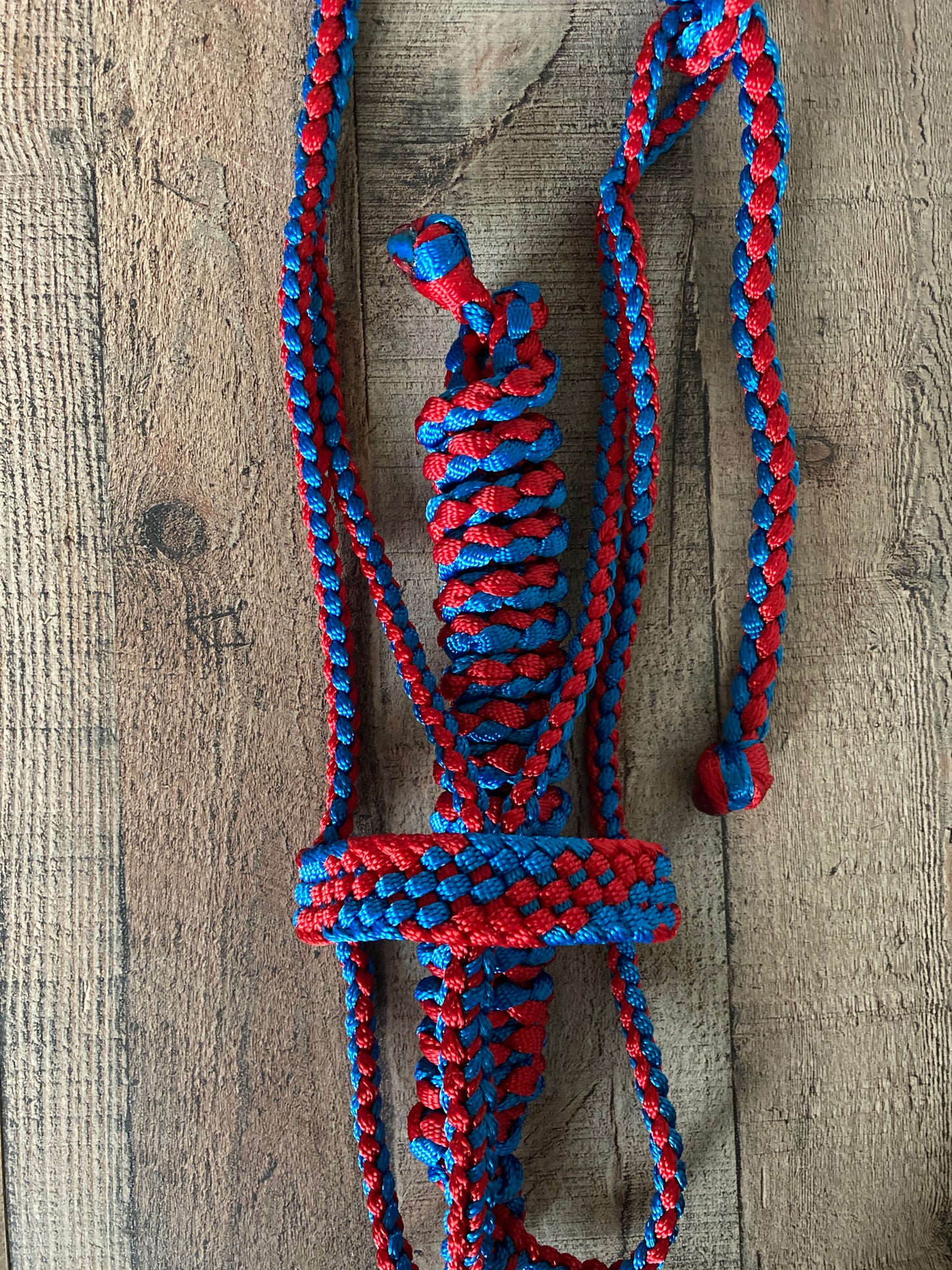 Mule Tape Halters with 8ft Lead - Multi color! Made to Order - All sizes