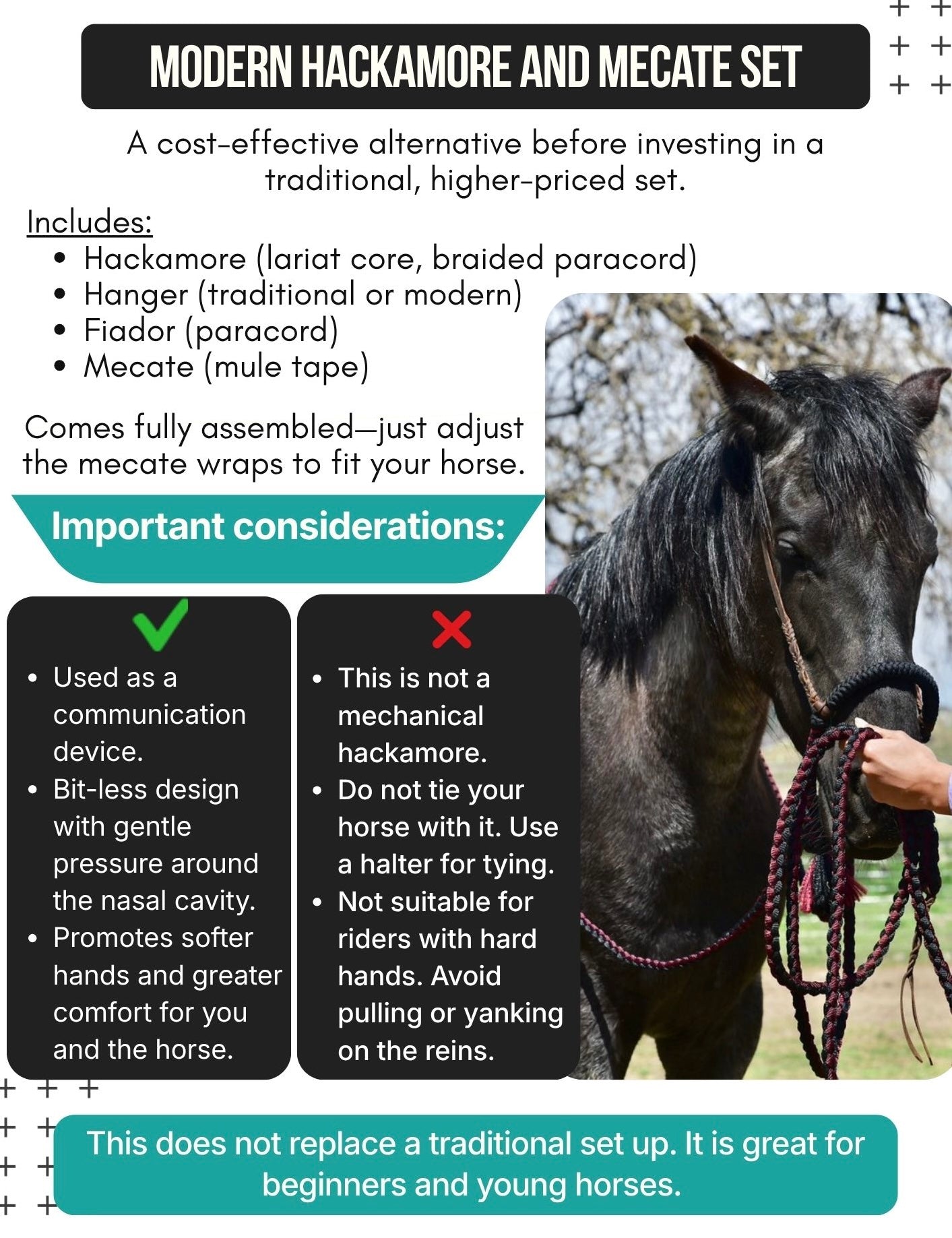 Lariat Hackamore and Mecate Set- Fits most Horses - All Black (hanger and popper styles vary)