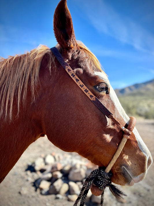 Personalized Hackamore/Bosal Hangers (Hanger only and patterns vary)
