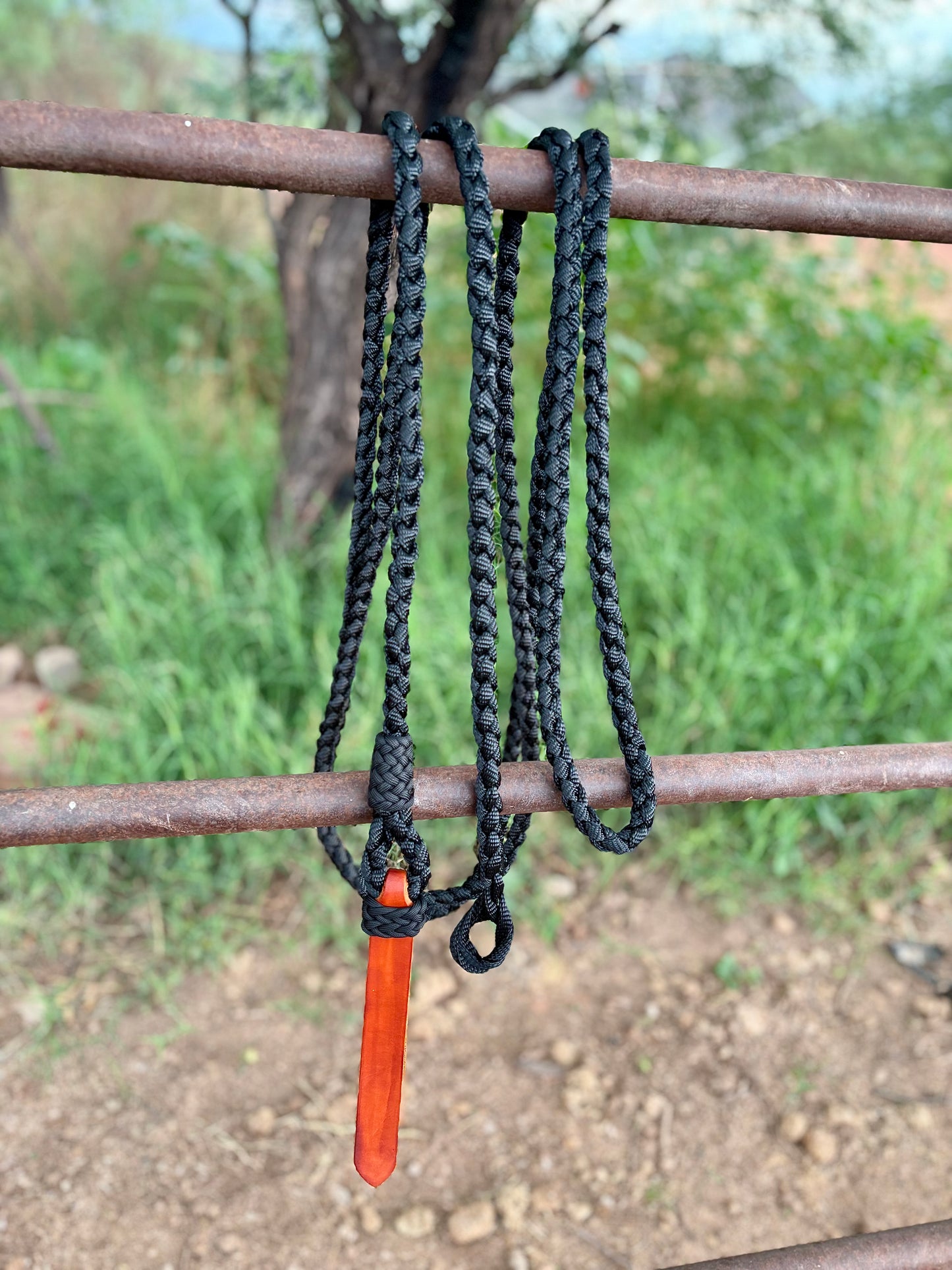 Mule Tape Lunge Line with Leather Popper - Option to include Bull Snap - Assorted colors