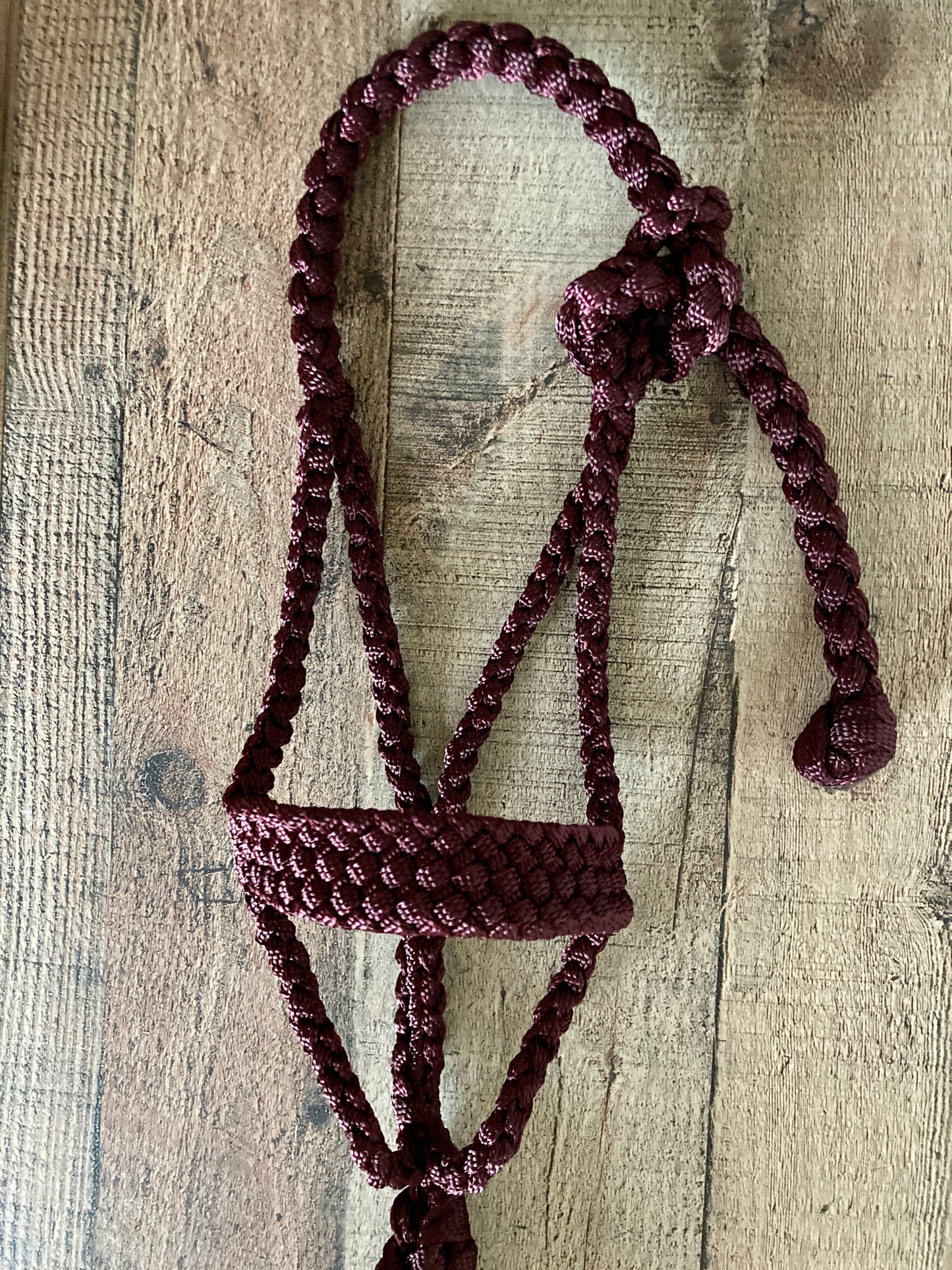 Mini/ Foal Mule Tape Halters w/ Lead - Assorted colors