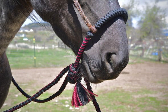 Lariat Hackamore and Mecate with Hanger - Fits most Horses - Braided Core - Burgundy and Black