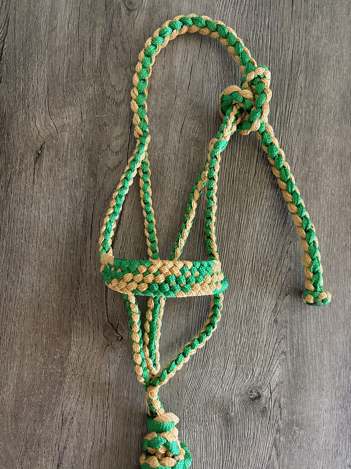 Mini/Foal 2-tone Mule Tape Halters with Lead Line - Made to Order
