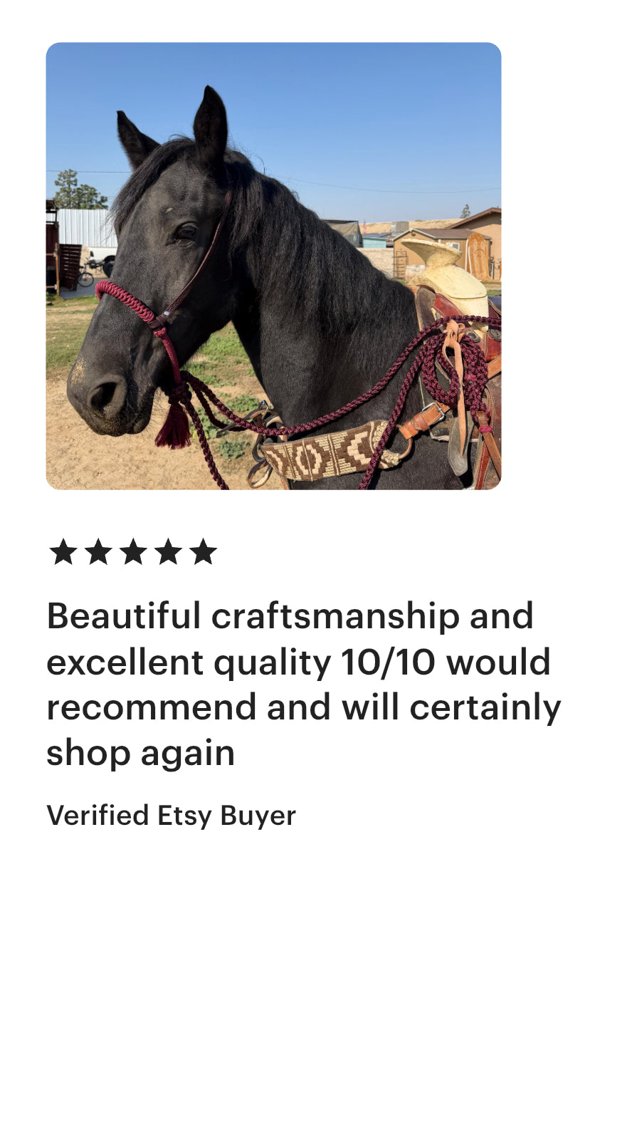 Lariat Hackamore and Mecate with Hanger - Fits most Horses - Braided Core - All Burgundy