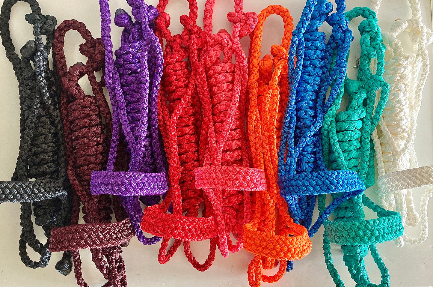 Mule Tape Halters with 8ft Lead Line - Assorted colors - All Sizes