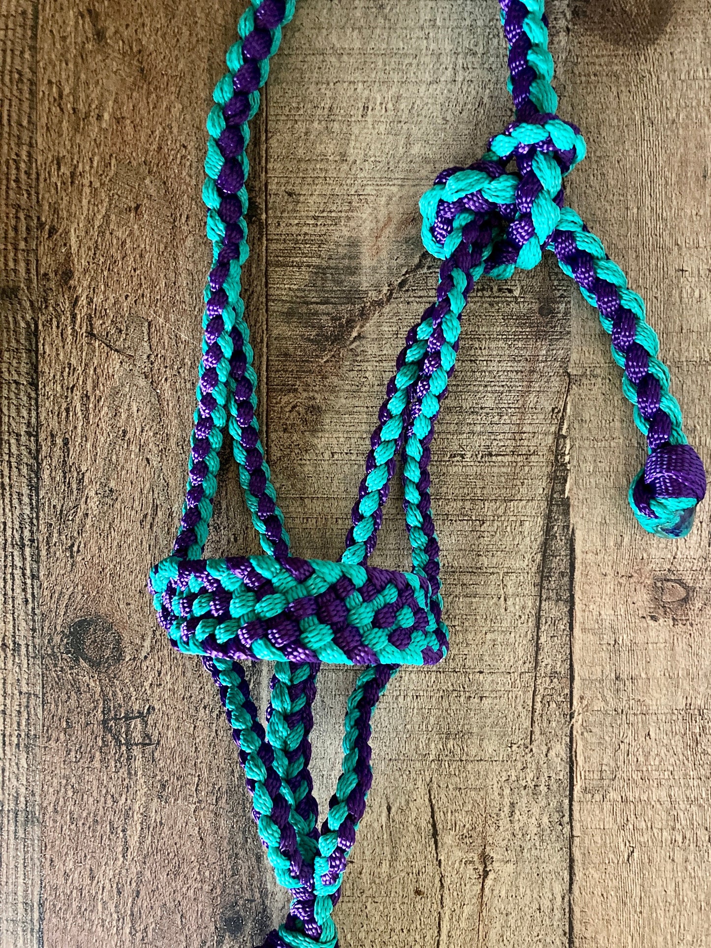 Mini/Foal 2-tone Mule Tape Halters with Lead Line - Made to Order