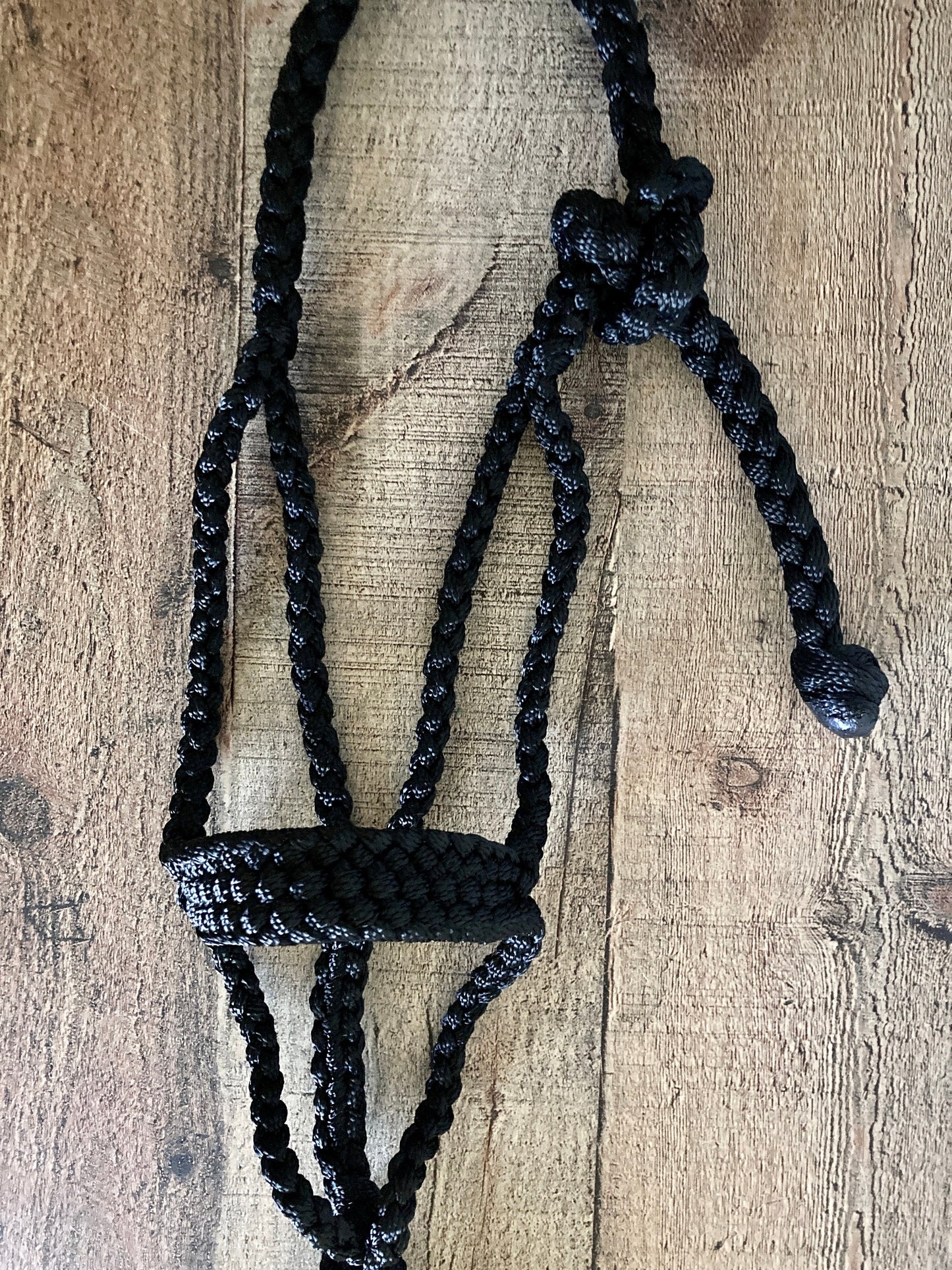 Weanling/Small Pony Tape Halters with Lead Line- Assorted colors