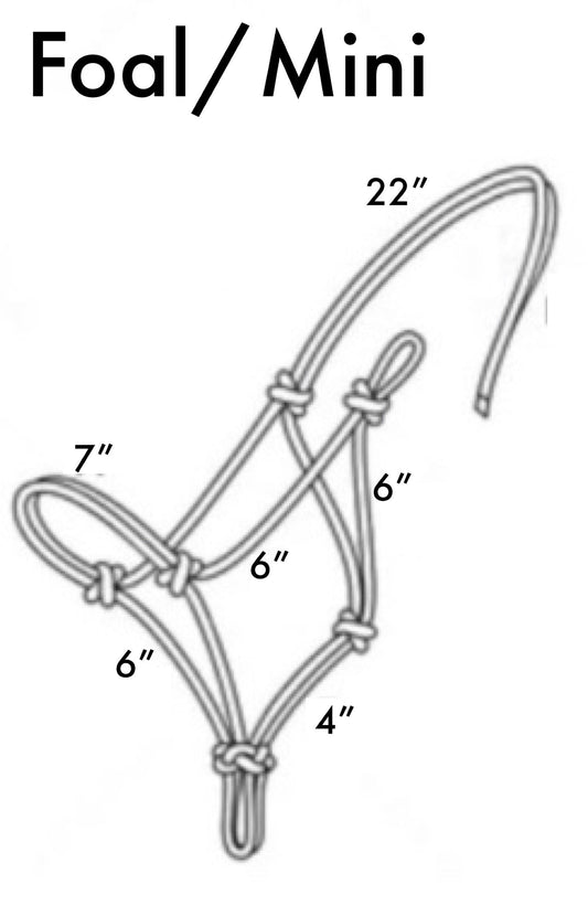 Mini/Foal Mule Tape Halters with Matching Lead Line- Assorted colors