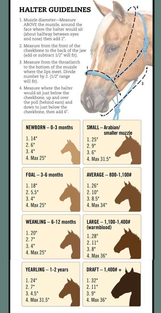 2knot Rope Halter with 8ft Lead Line - Assorted colors - All Sizes