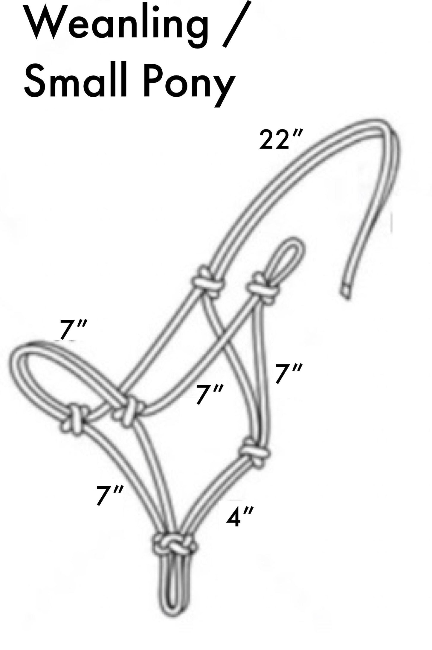 Weanling/Small Pony Tape Halters with Lead Line- Assorted colors