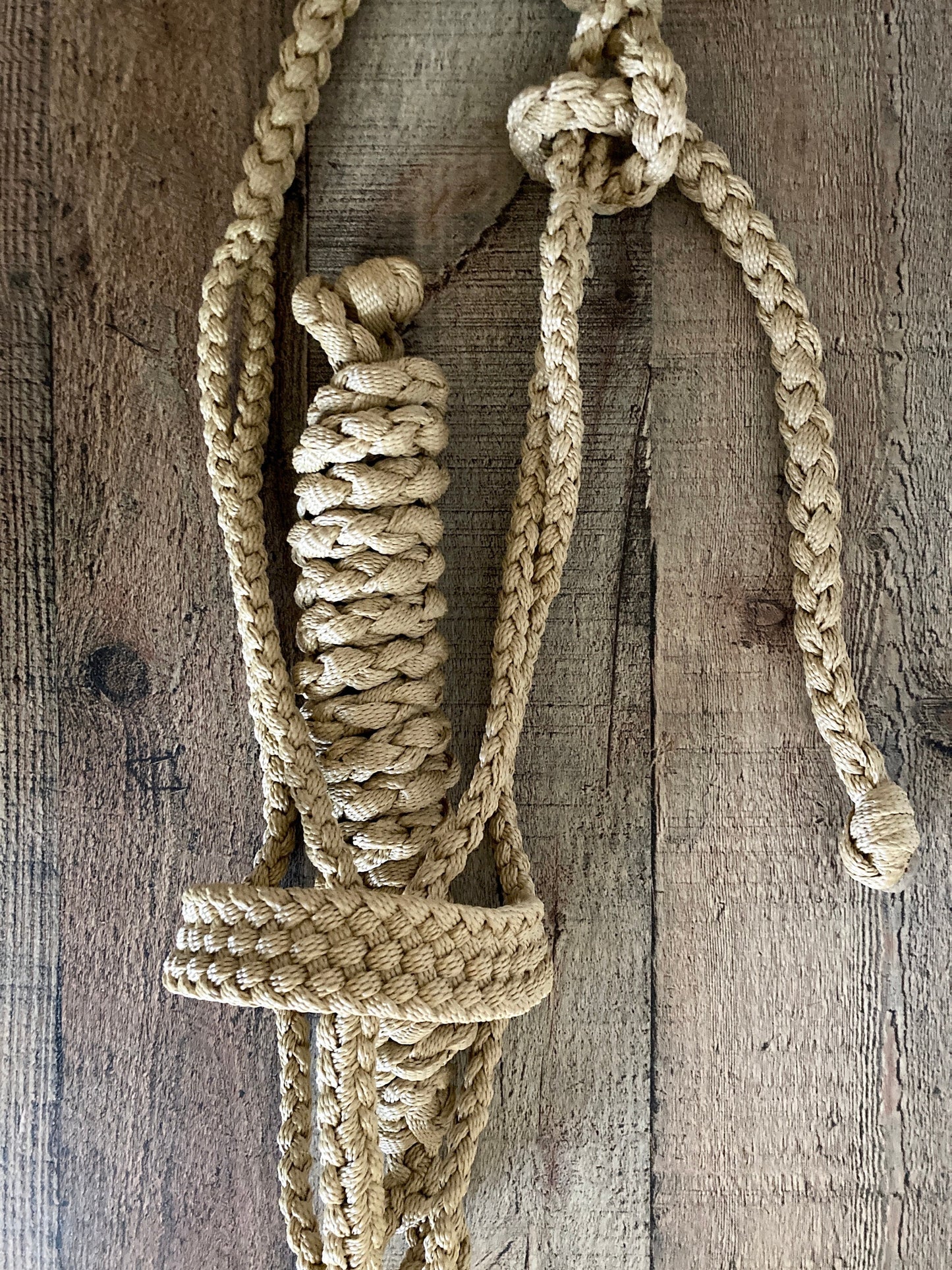 Mule Tape Halters with 8ft Lead Line - Assorted colors - All Sizes