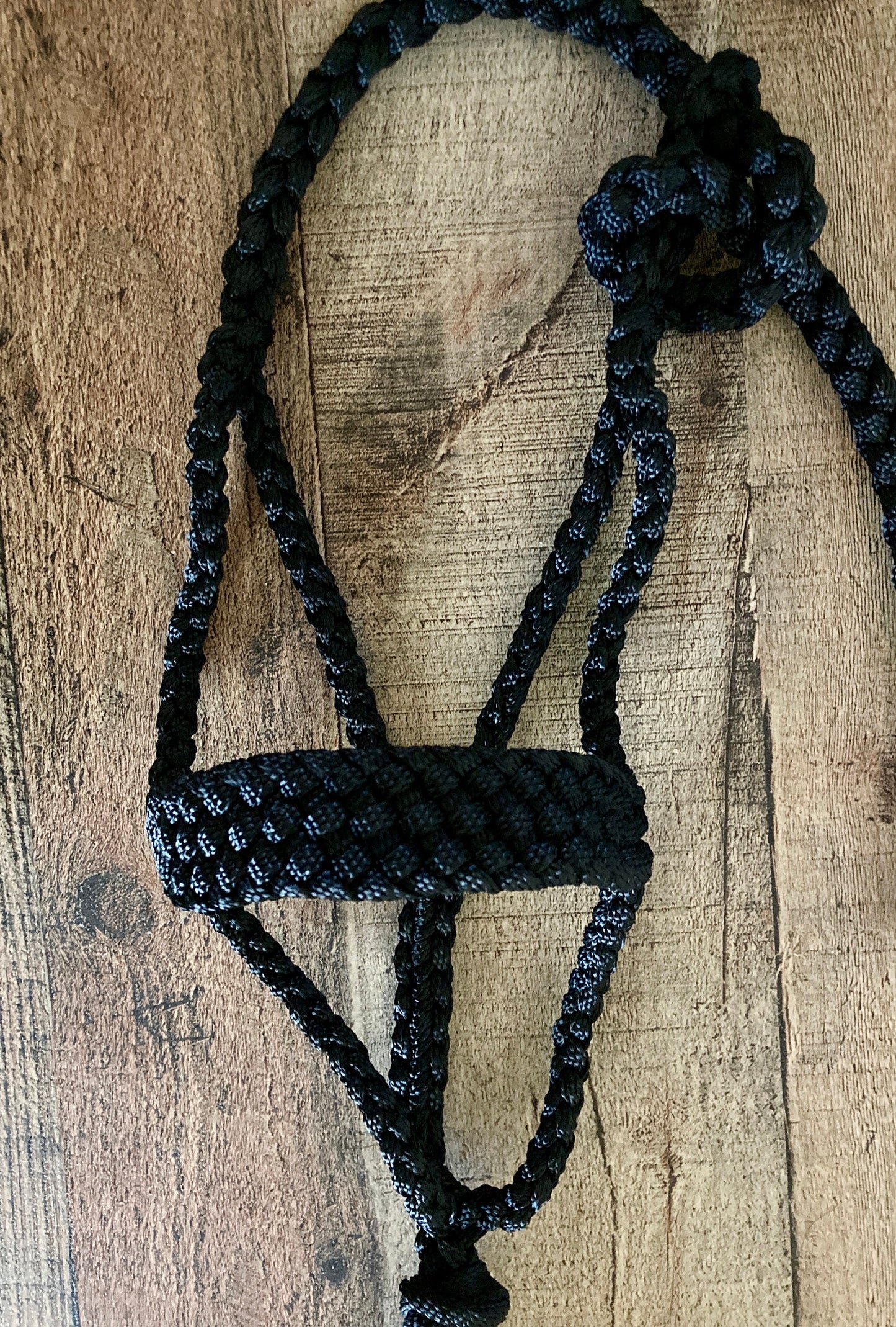 Mini/ Foal Mule Tape Halters w/ Lead - Assorted colors