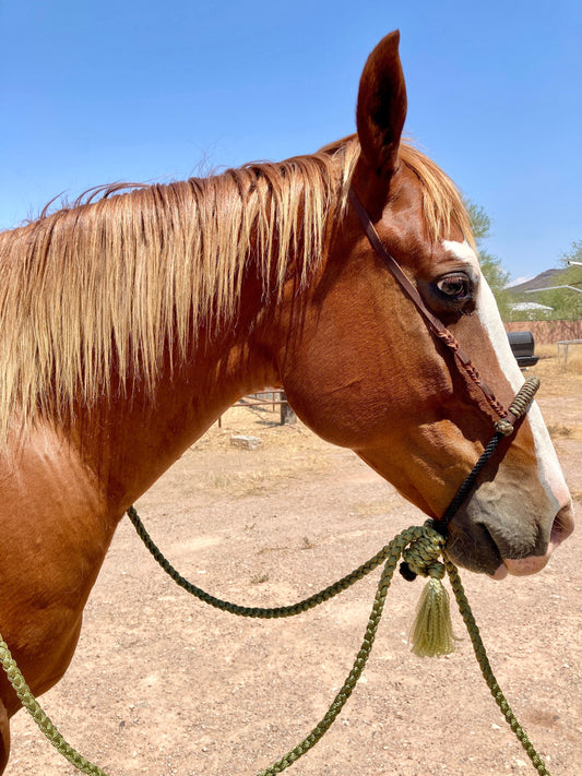 CUSTOM Lariat Hackamore and Mecate Set - Fits Most Horses - Made to Order