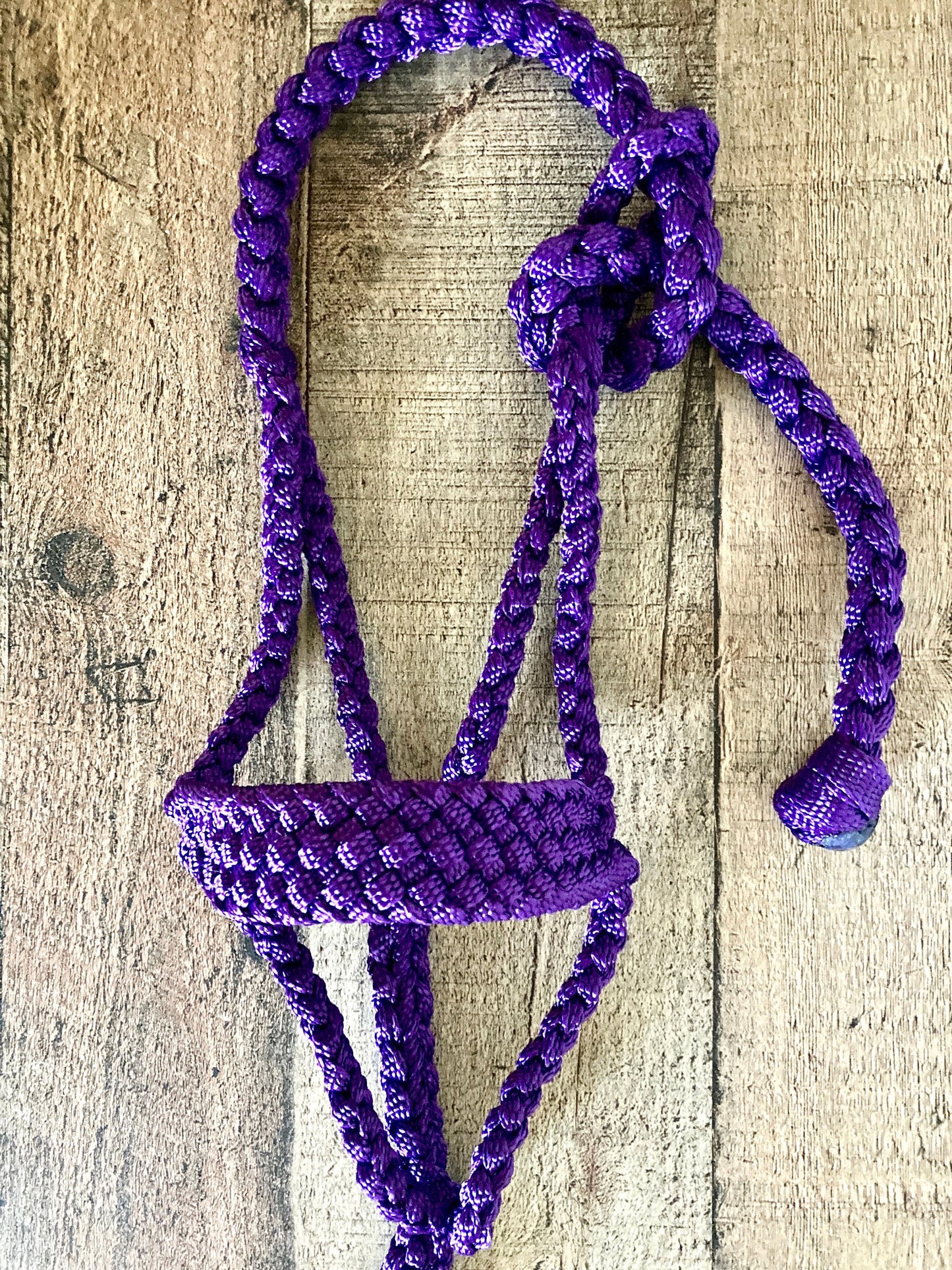 Mini/ Foal Mule Tape Halters w/ Lead - Assorted colors