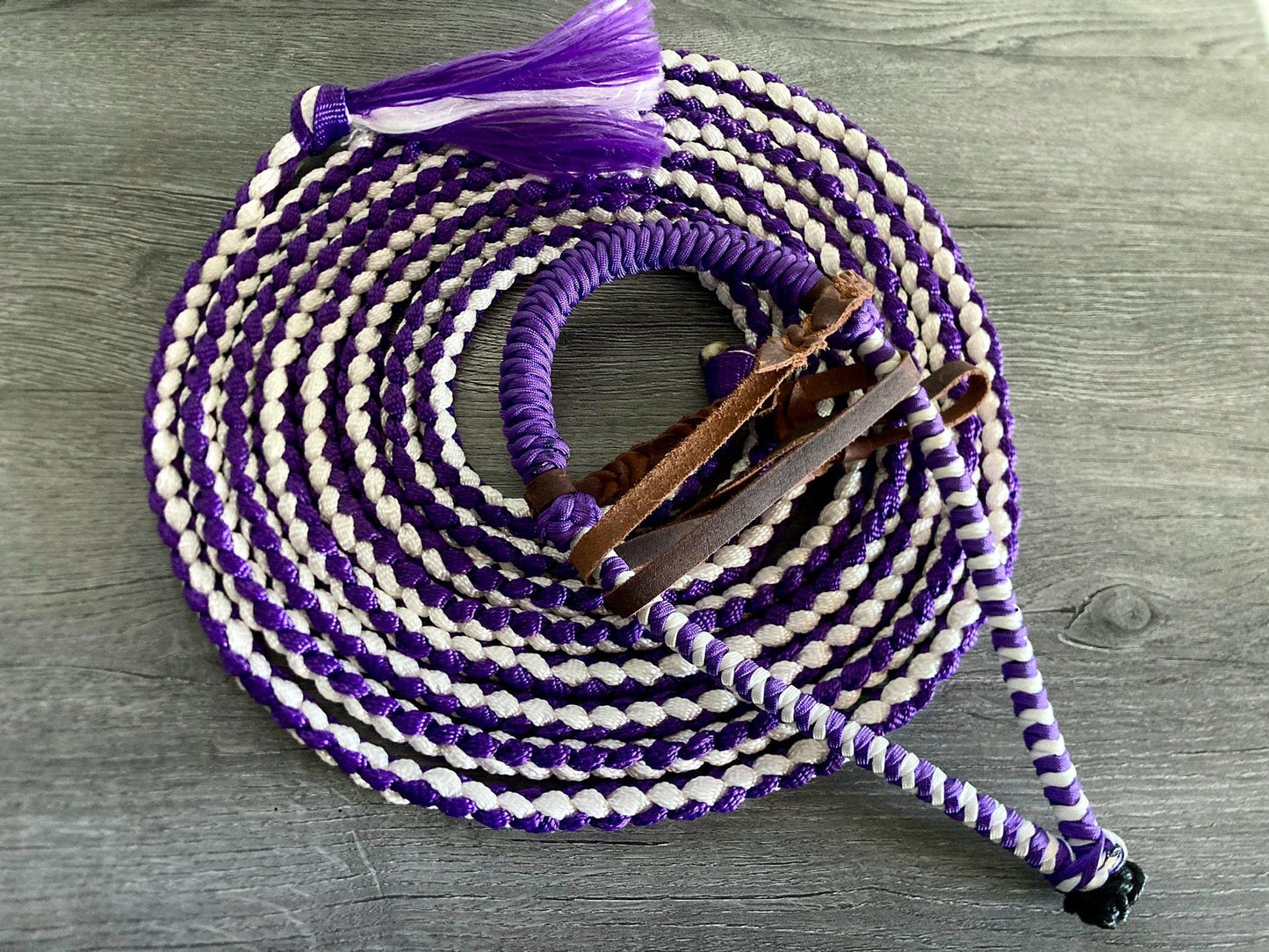 Lariat Hackamore and Mecate with Hanger - Fits most Horses - Braided Core - Purple and White
