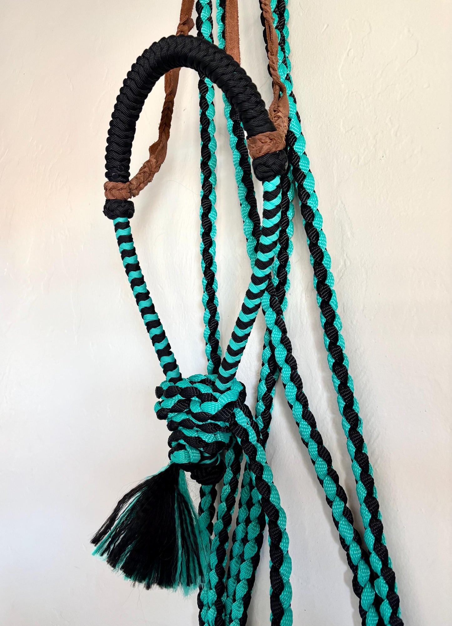 Lariat Hackamore and Mecate with Hanger - Fits most Horses - Braided Core - Teal and Black
