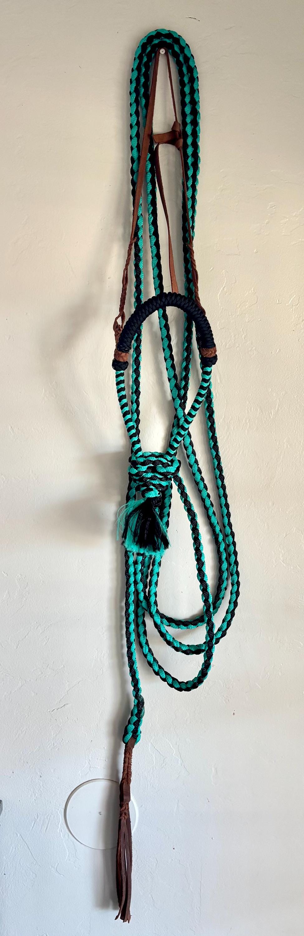 Lariat Hackamore and Mecate with Hanger - Fits most Horses - Braided Core - Teal and Black