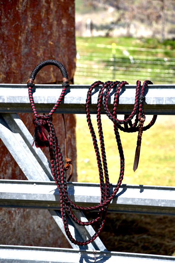 Lariat Hackamore and Mecate with Hanger - Fits most Horses - Braided Core - Burgundy and Black
