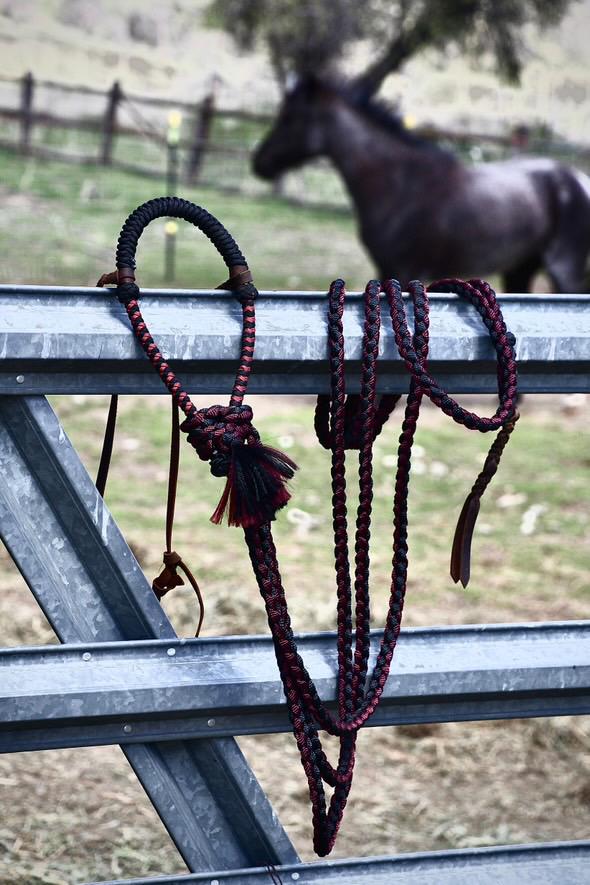 Lariat Hackamore and Mecate with Hanger - Fits most Horses - Braided Core - Burgundy and Black