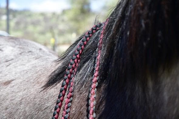 Lariat Hackamore and Mecate with Hanger - Fits most Horses - Braided Core - Burgundy and Black