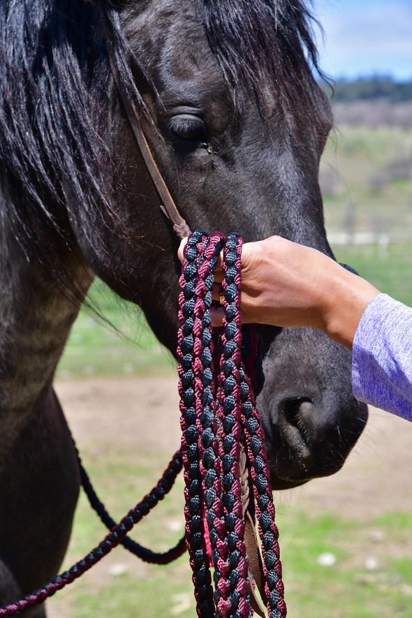Lariat Hackamore and Mecate with Hanger - Fits most Horses - Braided Core - Burgundy and Black