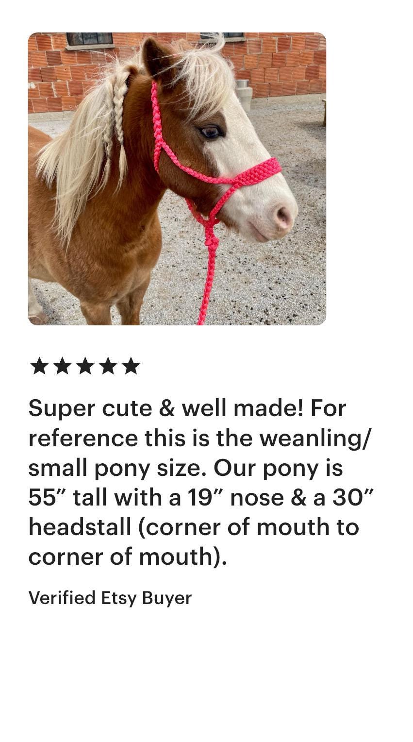 Weanling/Small Pony Tape Halters with Lead Line- Assorted colors