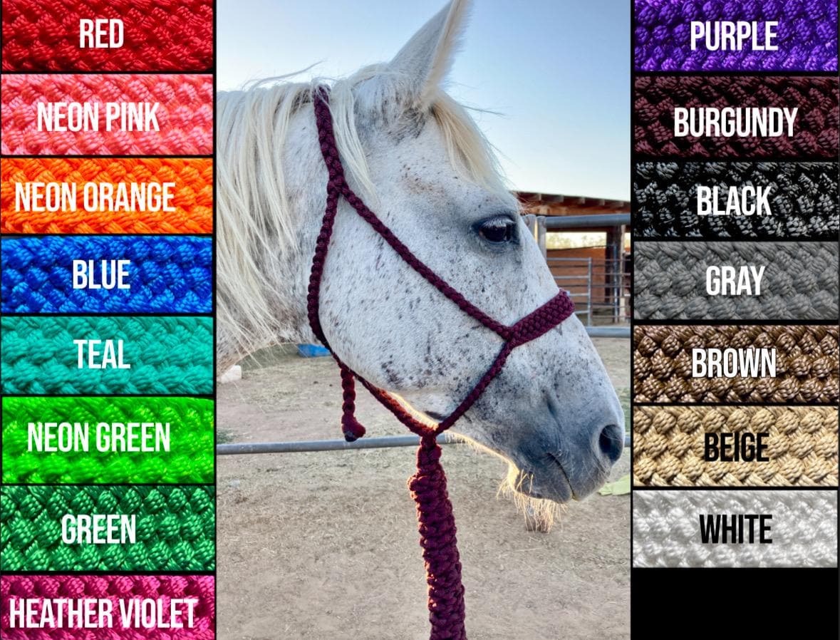 Mule Tape Halters with 8ft Lead Line - Assorted colors - All Sizes